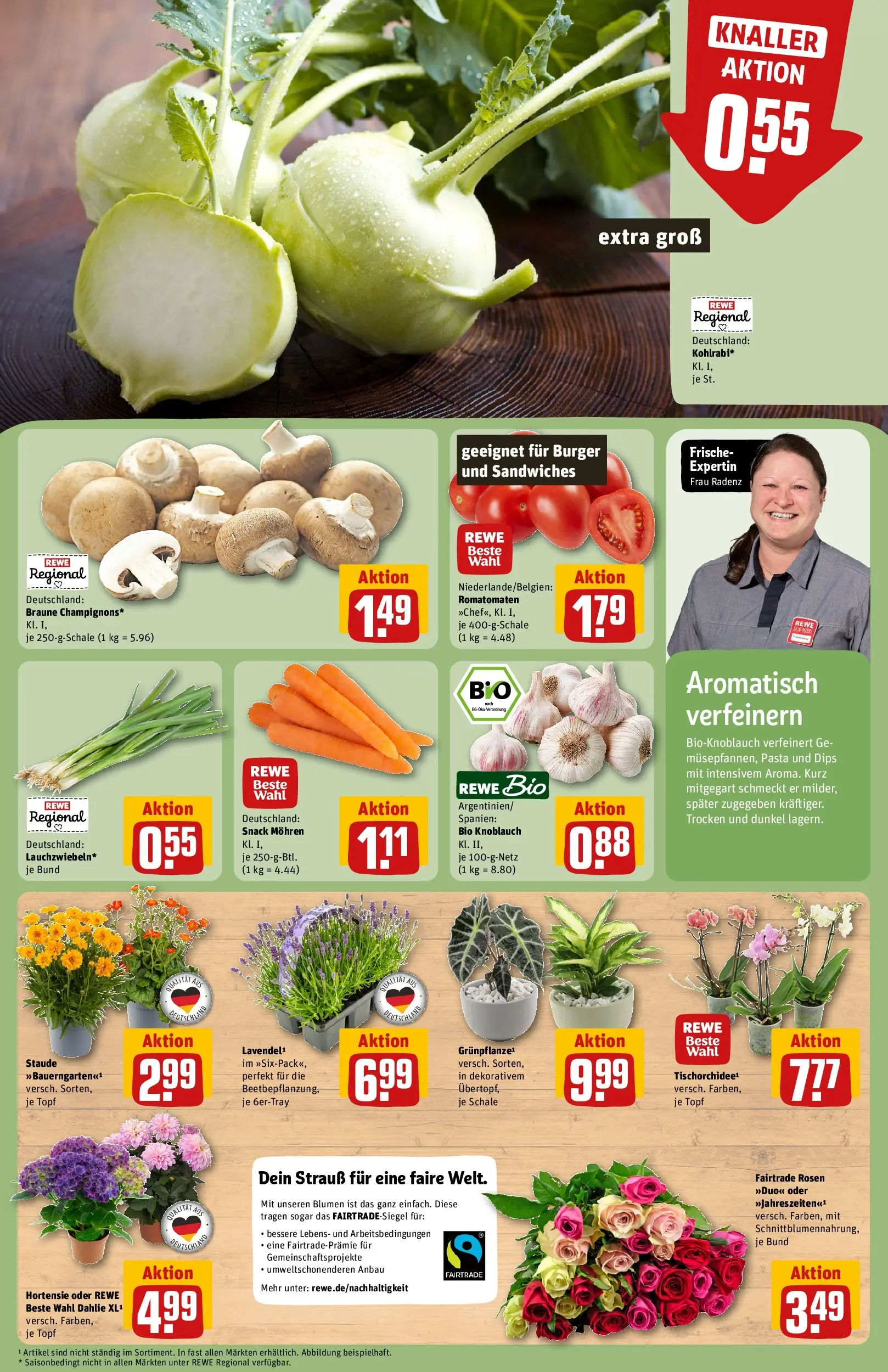 REWE Prospekt ab 29.06.2026 zum Blättern » Angebote | Seite: 9 | Produkte: Hortensie, Burger, Knoblauch, Pasta