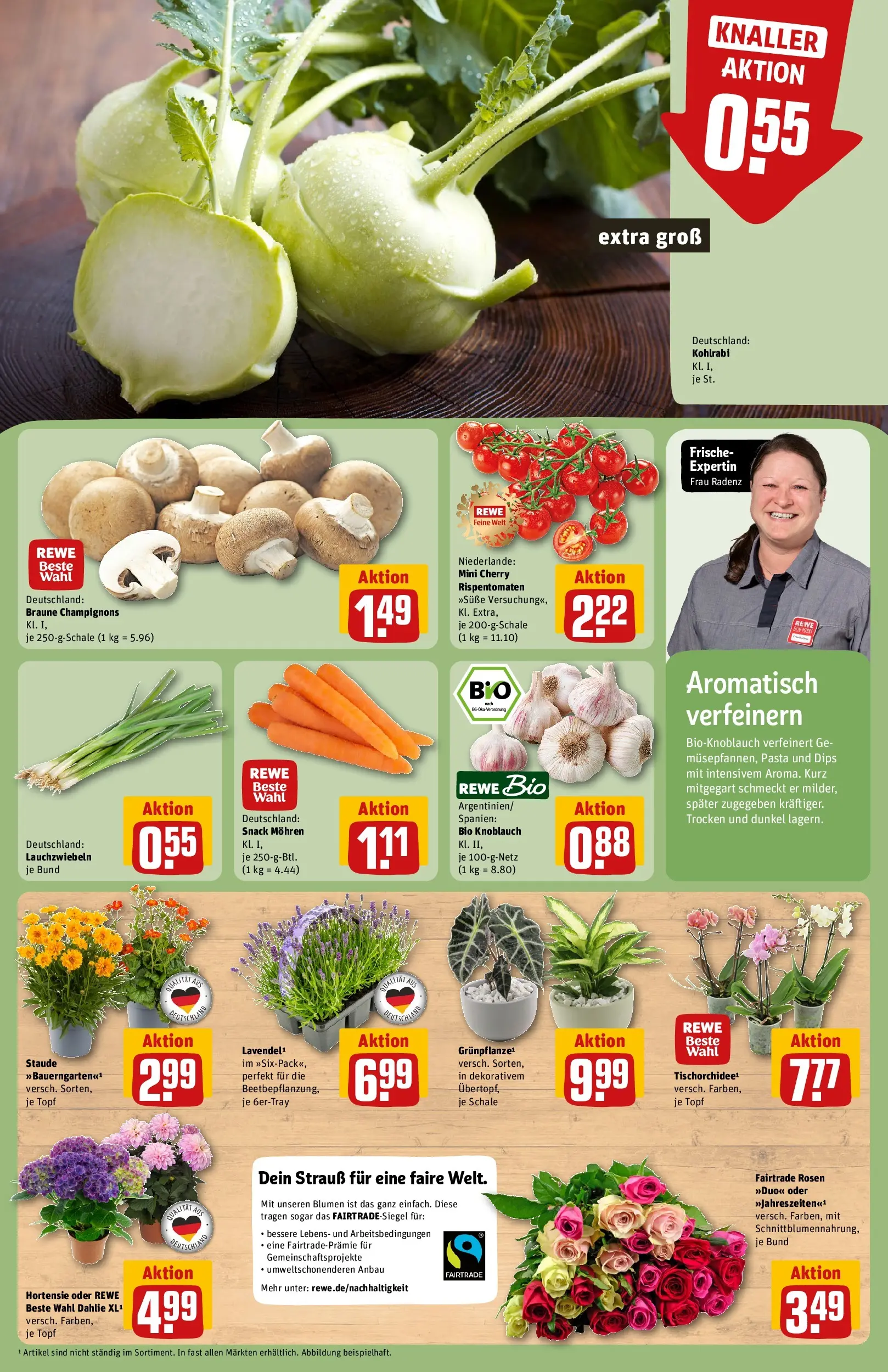 REWE Prospekt ab 29.06.2026 zum Blättern » Angebote | Seite: 9 | Produkte: Hortensie, Blumen, Kohlrabi, Champignons