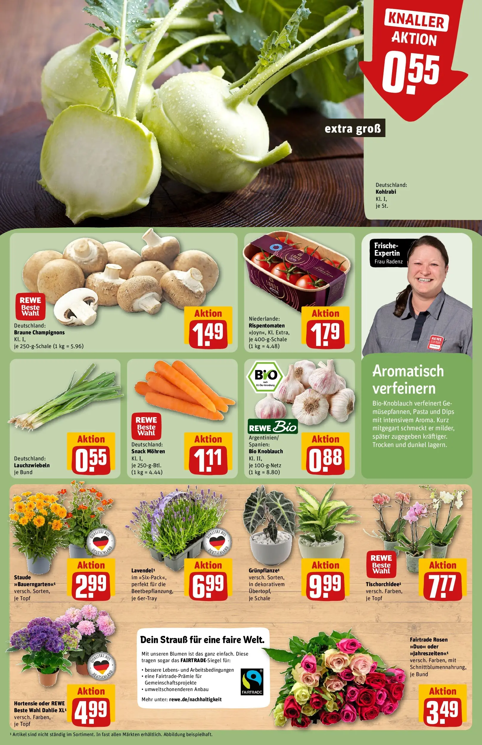 REWE Prospekt ab 29.06.2026 zum Blättern » Angebote | Seite: 11 | Produkte: Kohlrabi, Champignons, Knoblauch, Pasta