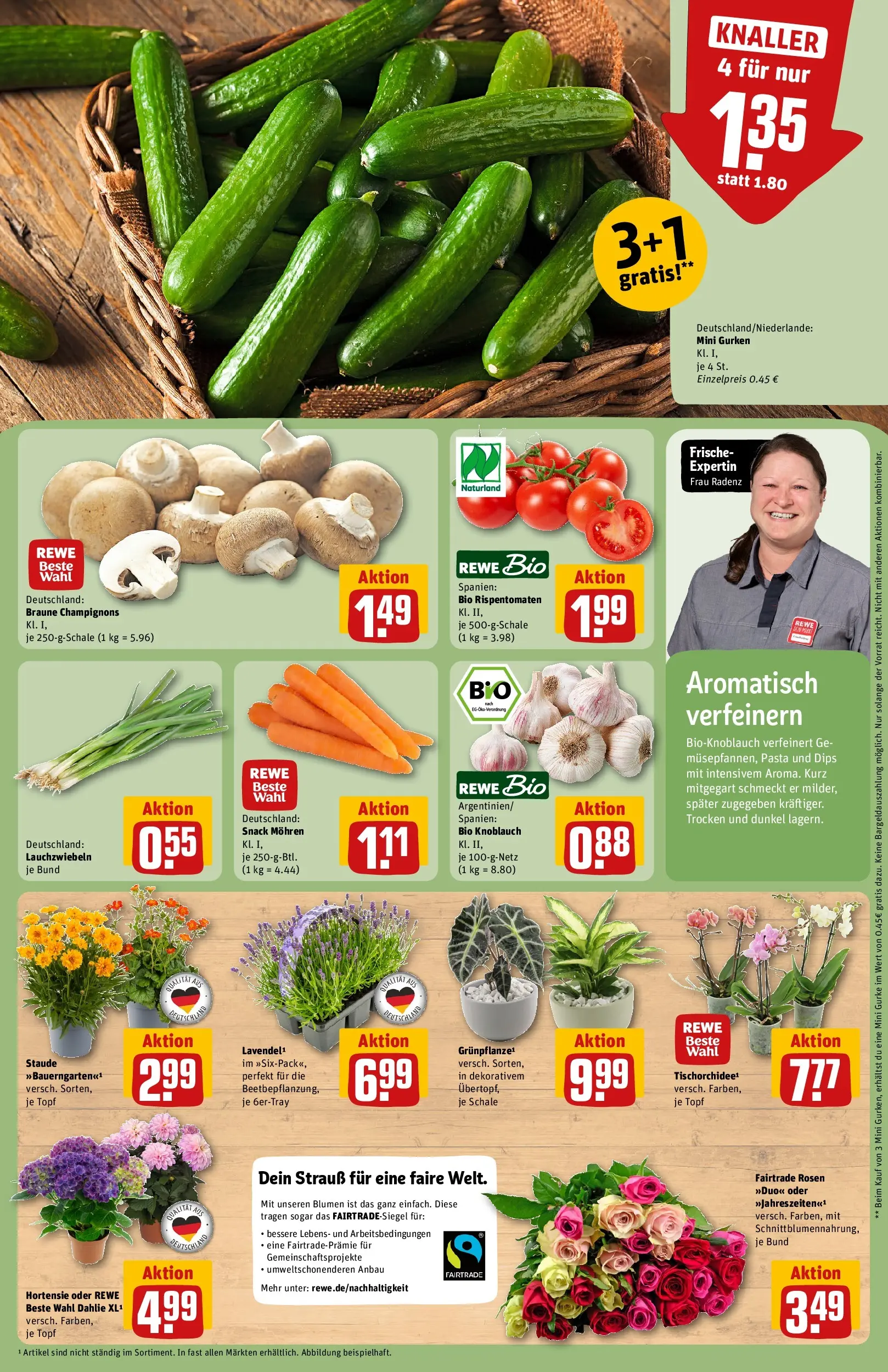 REWE Prospekt ab 29.06.2026 zum Blättern » Angebote | Seite: 9 | Produkte: Hortensie, Mohren, Pasta, Gurken
