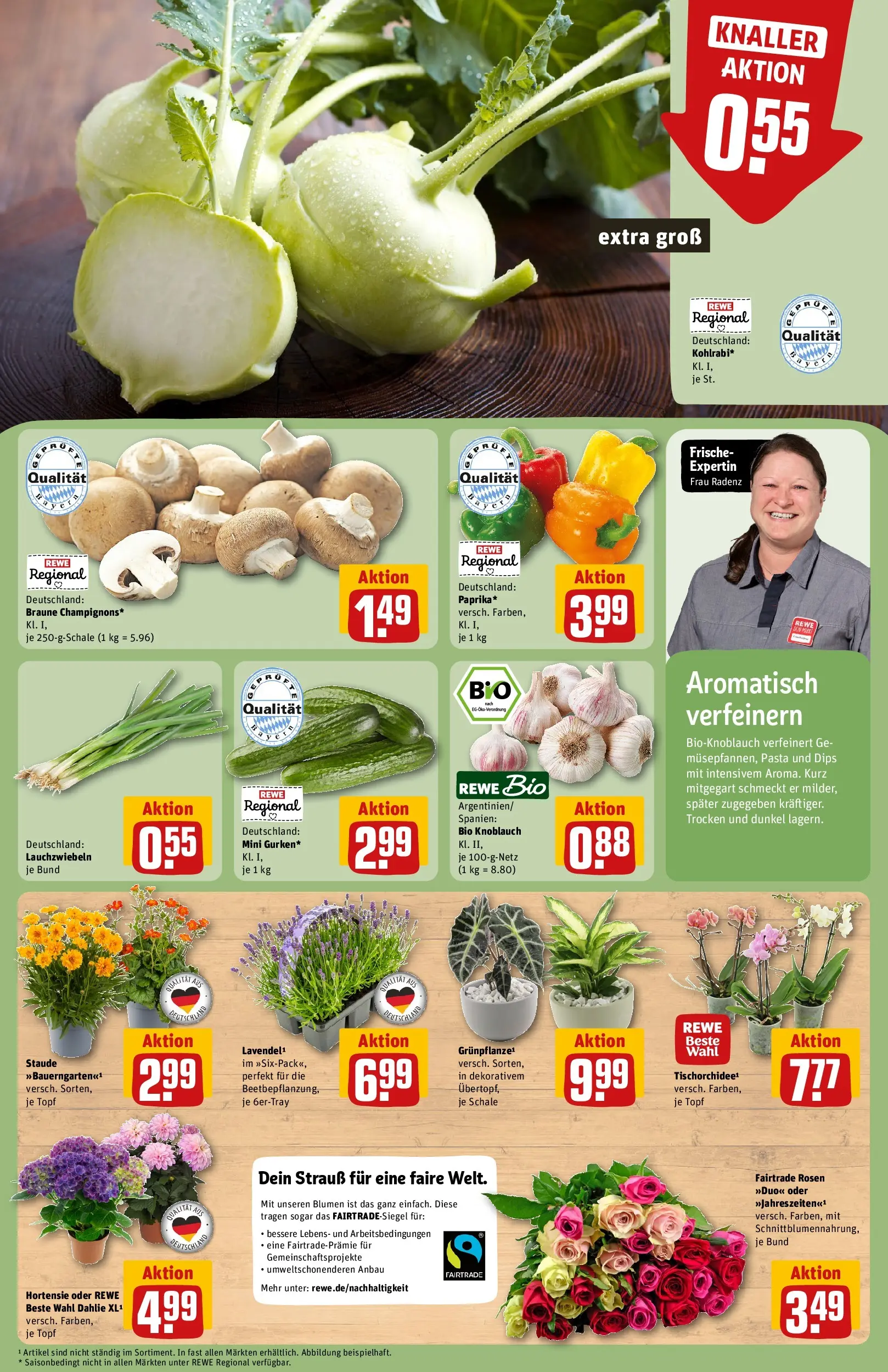 REWE Prospekt ab 29.06.2026 zum Blättern » Angebote | Seite: 9 | Produkte: Hortensie, Blumen, Paprika, Knoblauch