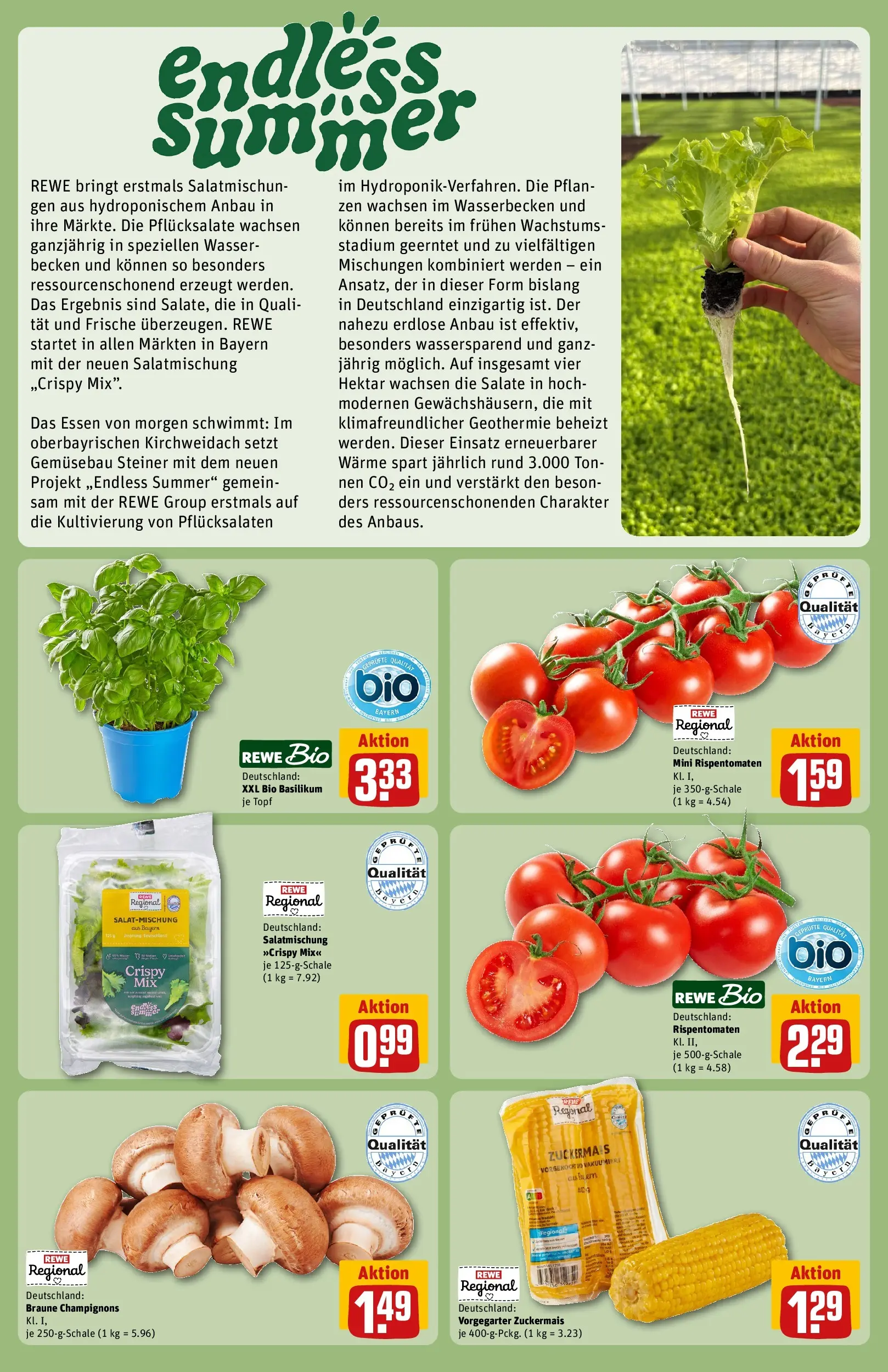 REWE Prospekt ab 29.06.2026 zum Blättern » Angebote | Seite: 24 | Produkte: Champignons, Wasser