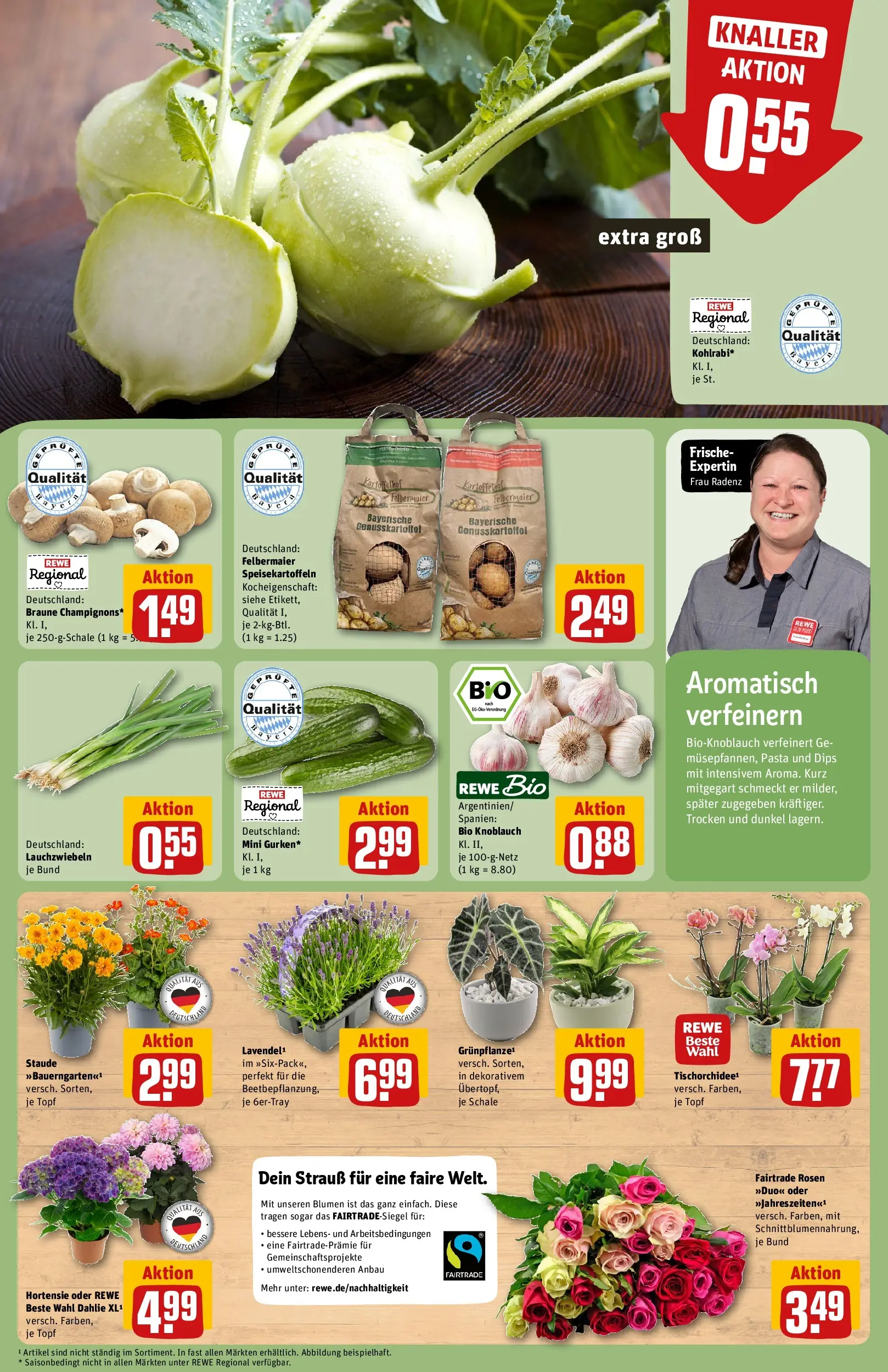 REWE Prospekt ab 29.06.2026 zum Blättern » Angebote | Seite: 9 | Produkte: Hortensie, Blumen, Knoblauch, Pasta