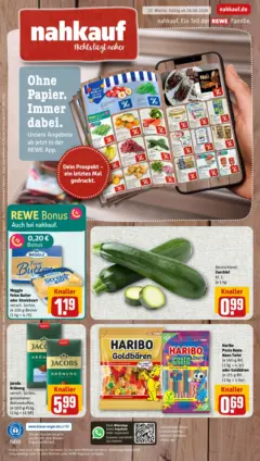 Rewe Prospekt Welzow ab 29.06.2026 gültig