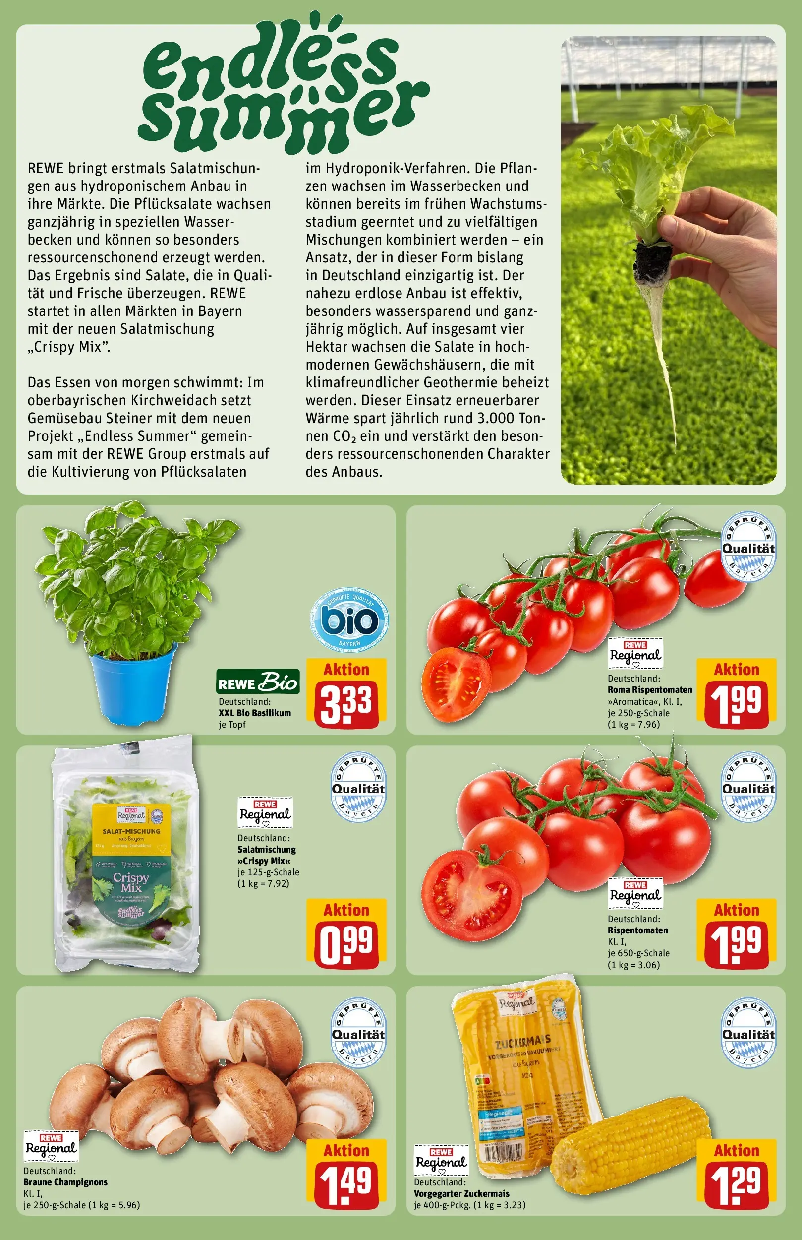 REWE Prospekt ab 29.06.2026 zum Blättern » Angebote | Seite: 24 | Produkte: Champignons, Wasser