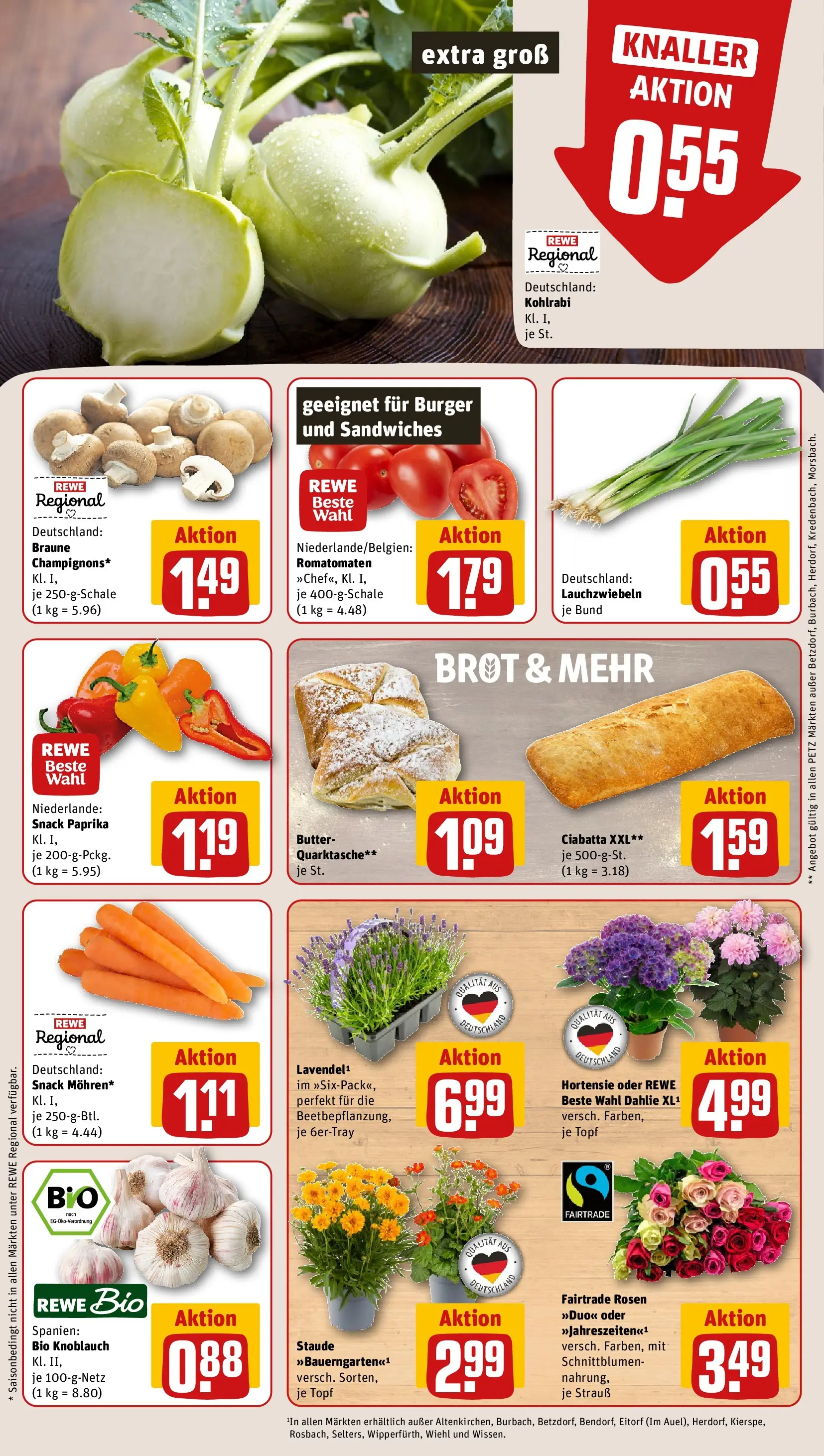 REWE Prospekt ab 29.06.2026 zum Blättern » Angebote | Seite: 9 | Produkte: Hortensie, Kohlrabi, Burger, Paprika