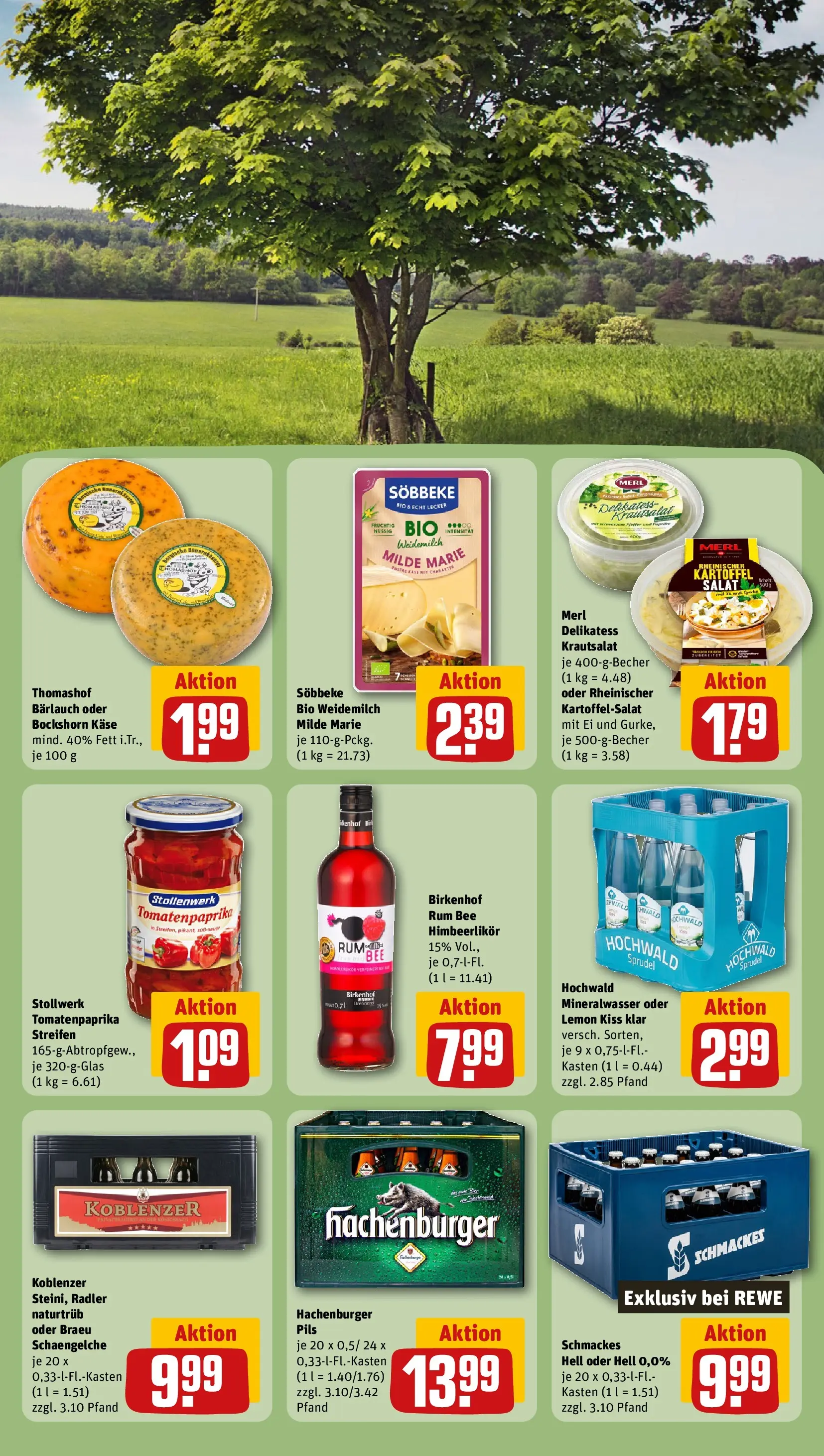 REWE Prospekt ab 29.06.2026 zum Blättern » Angebote | Seite: 25 | Produkte: Käse, Pils, Radler, Salat