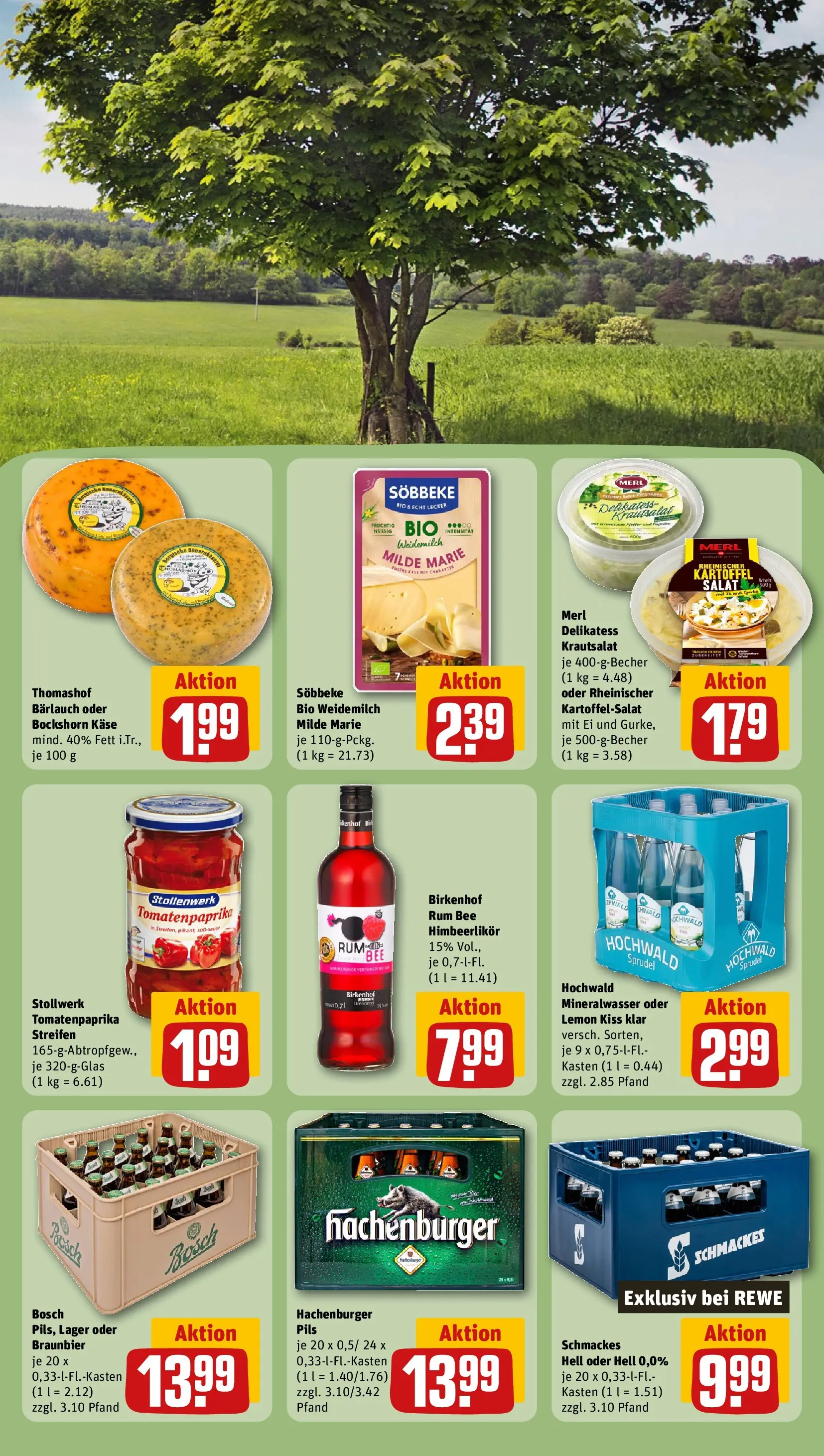 REWE Prospekt ab 29.06.2026 zum Blättern » Angebote | Seite: 25 | Produkte: Rum, Pils, Mineralwasser, Salat