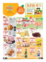 Globus 27 26 L1