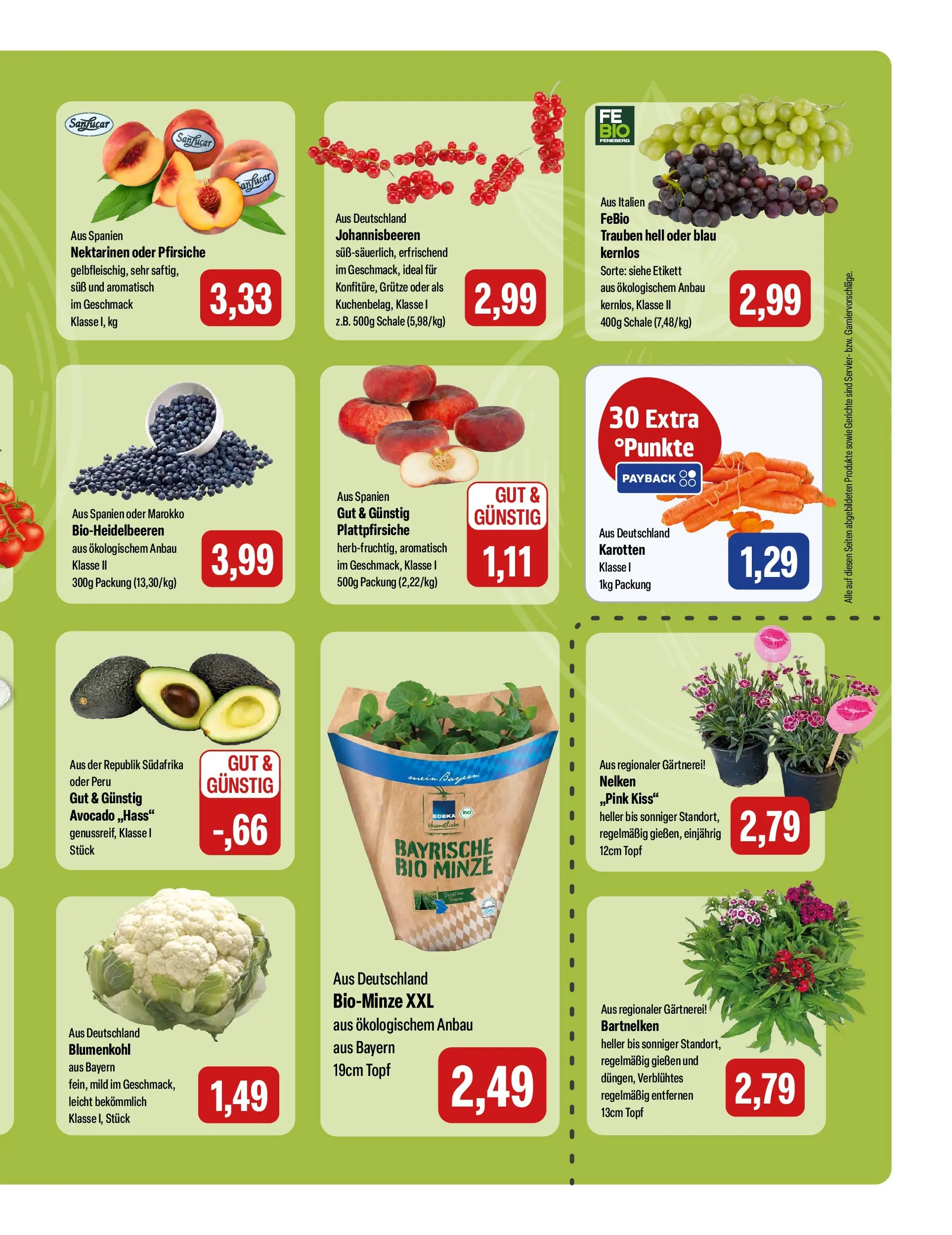 Feneberg Aktuelle Angebote (ab 01.07.2026) zum Blättern | Seite: 9 | Produkte: Nektarinen, Trauben, Avocado, Blumenkohl