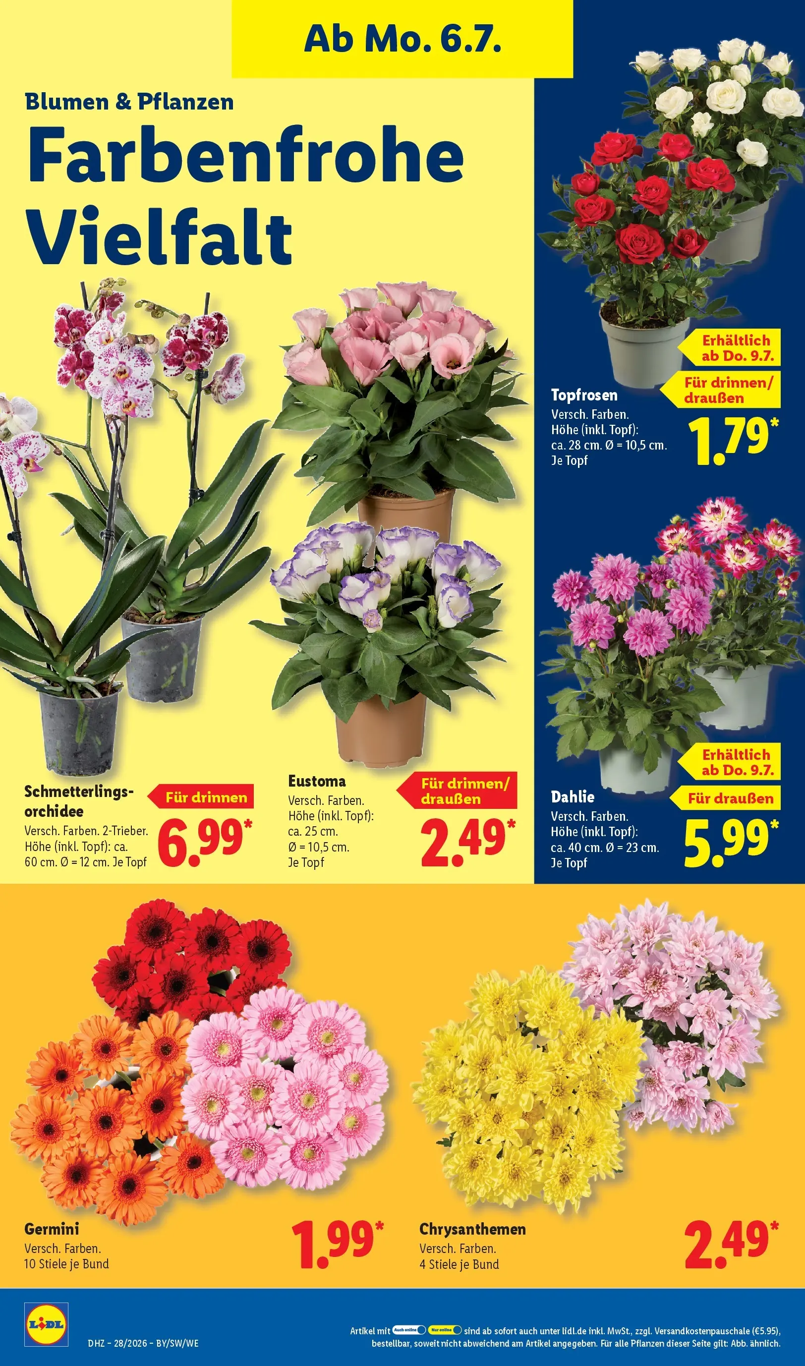 Lidl Prospekt Villingen-schwenningen (ab 05.07.2026) zum Blättern » Angebote | Seite: 22 | Produkte: Orchidee, Blumen