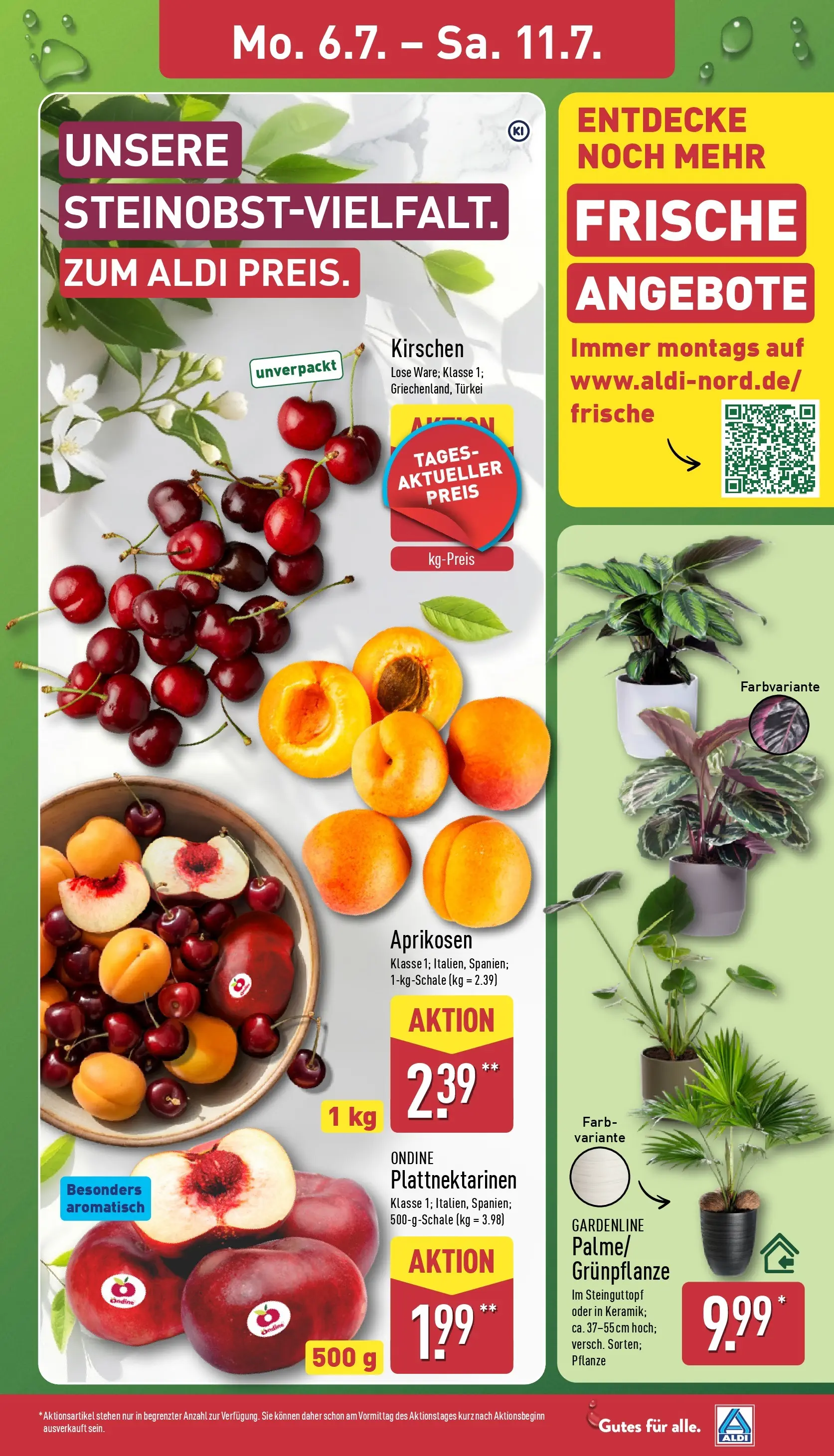 Aldi - ALDI Nord: Wochenangebote (ab 05.07.2026) » Angebote Online | Seite: 3 | Produkte: Kirschen