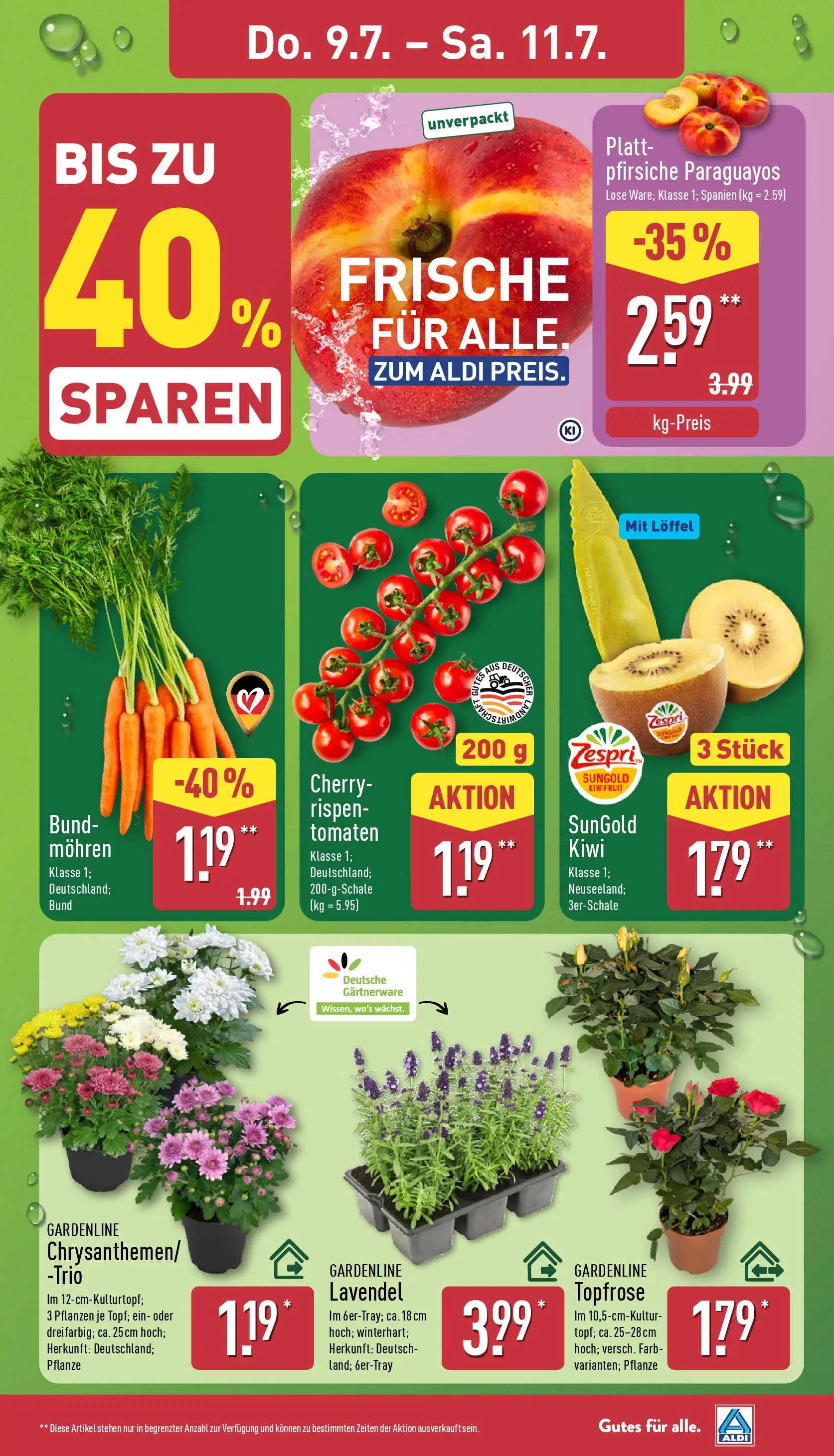 Aldi - ALDI Nord: Wochenangebote (ab 05.07.2026) » Angebote Online | Seite: 29 | Produkte: Tomaten, Mohren, Lavendel, Kiwi