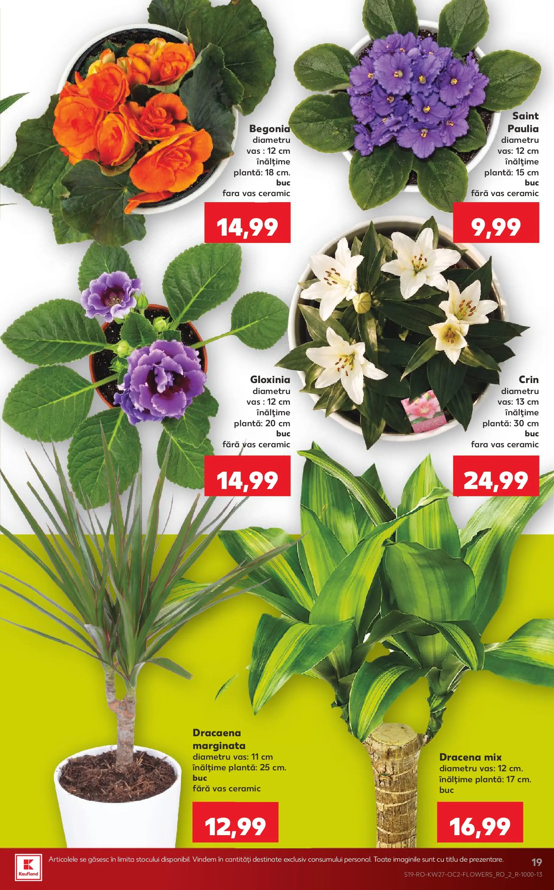 Kaufland Domnesti 01.07.2026 - Revista si Oferta | Pagină: 19