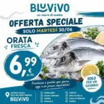 BluVivo Offerte speciali per te - al 30.06.2026