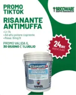 Bricoware Risanante antimuffa - al 01.07.2026