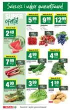 T27 spar 3