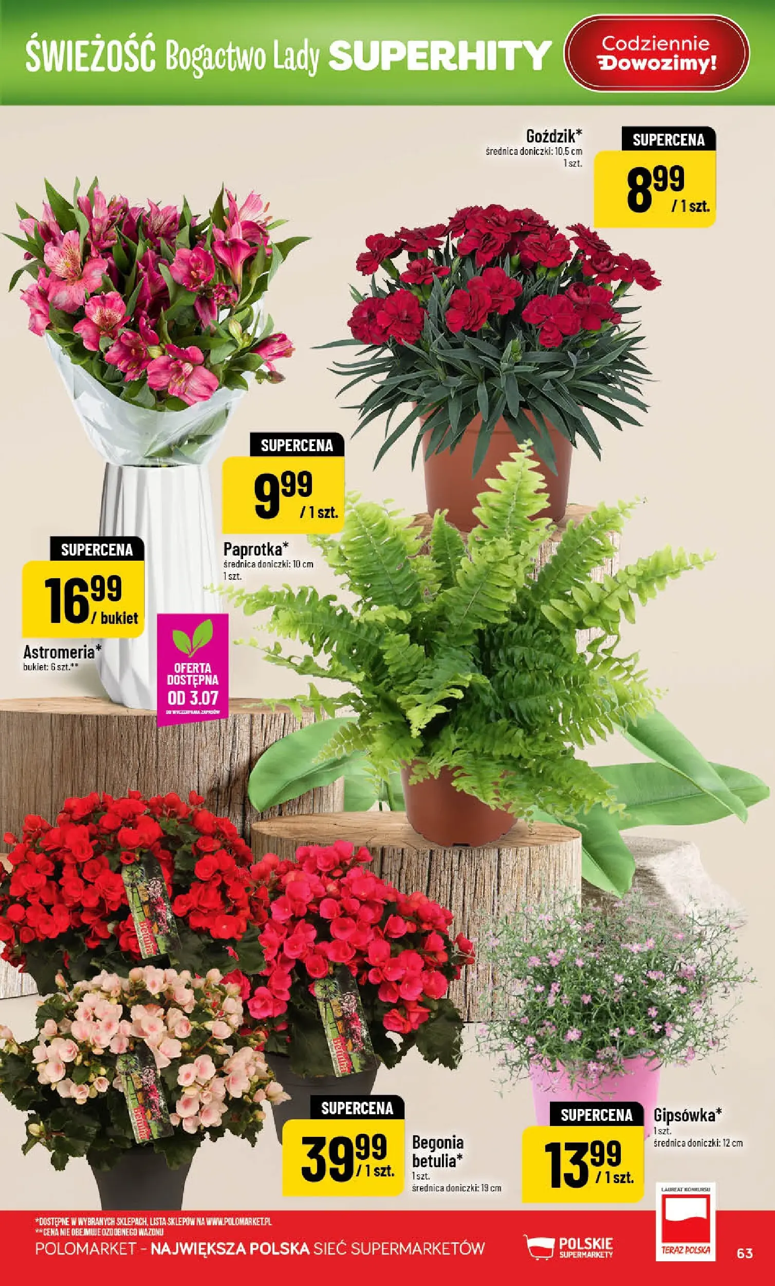 Nowa POLOmarket gazetka od jutra 01.07.2026 | Strona: 63 | Produkty: Doniczki