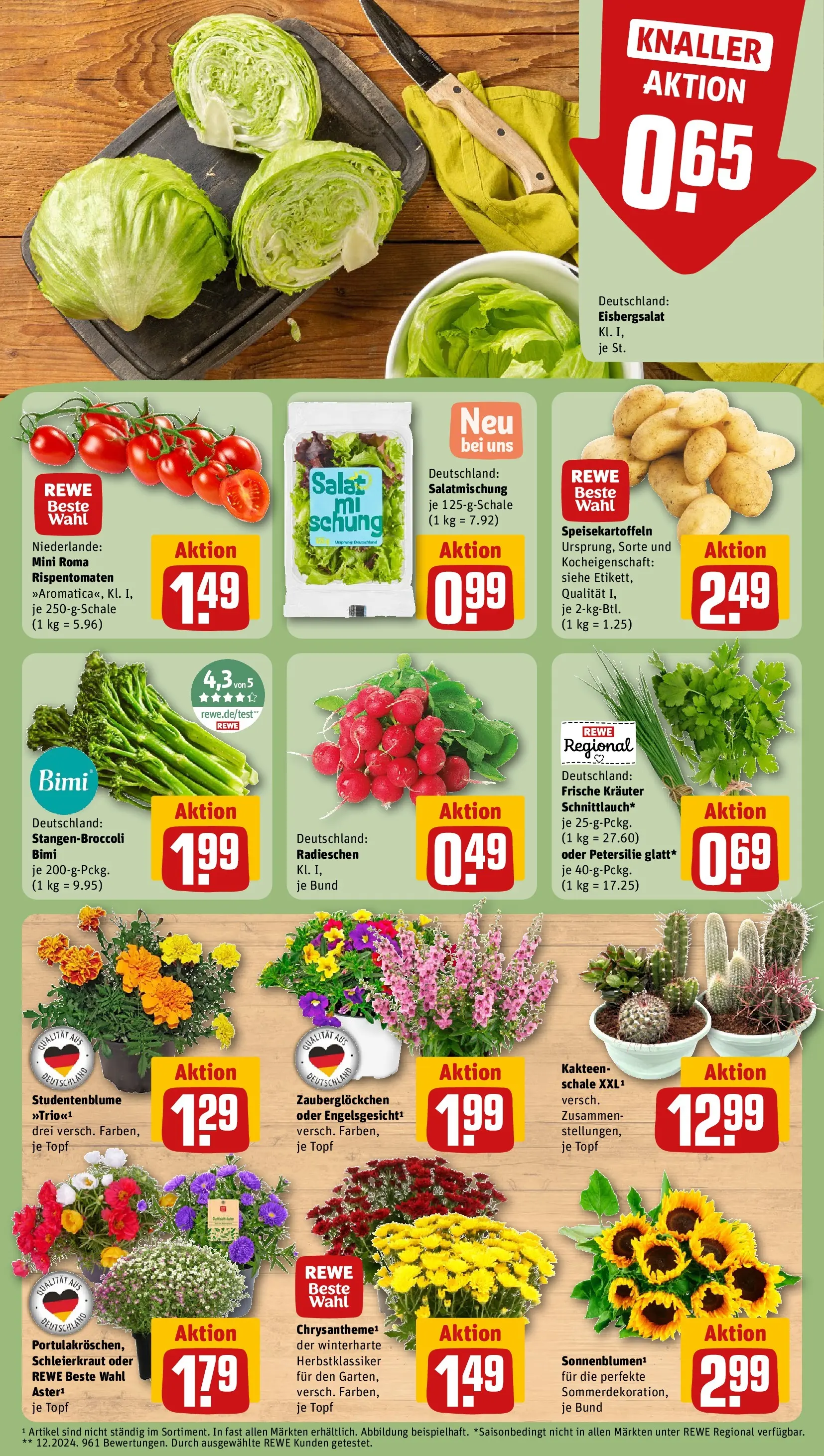 REWE Prospekt ab 05.07.2026 zum Blättern » Angebote | Seite: 7 | Produkte: Eisbergsalat, Petersilie, Salat