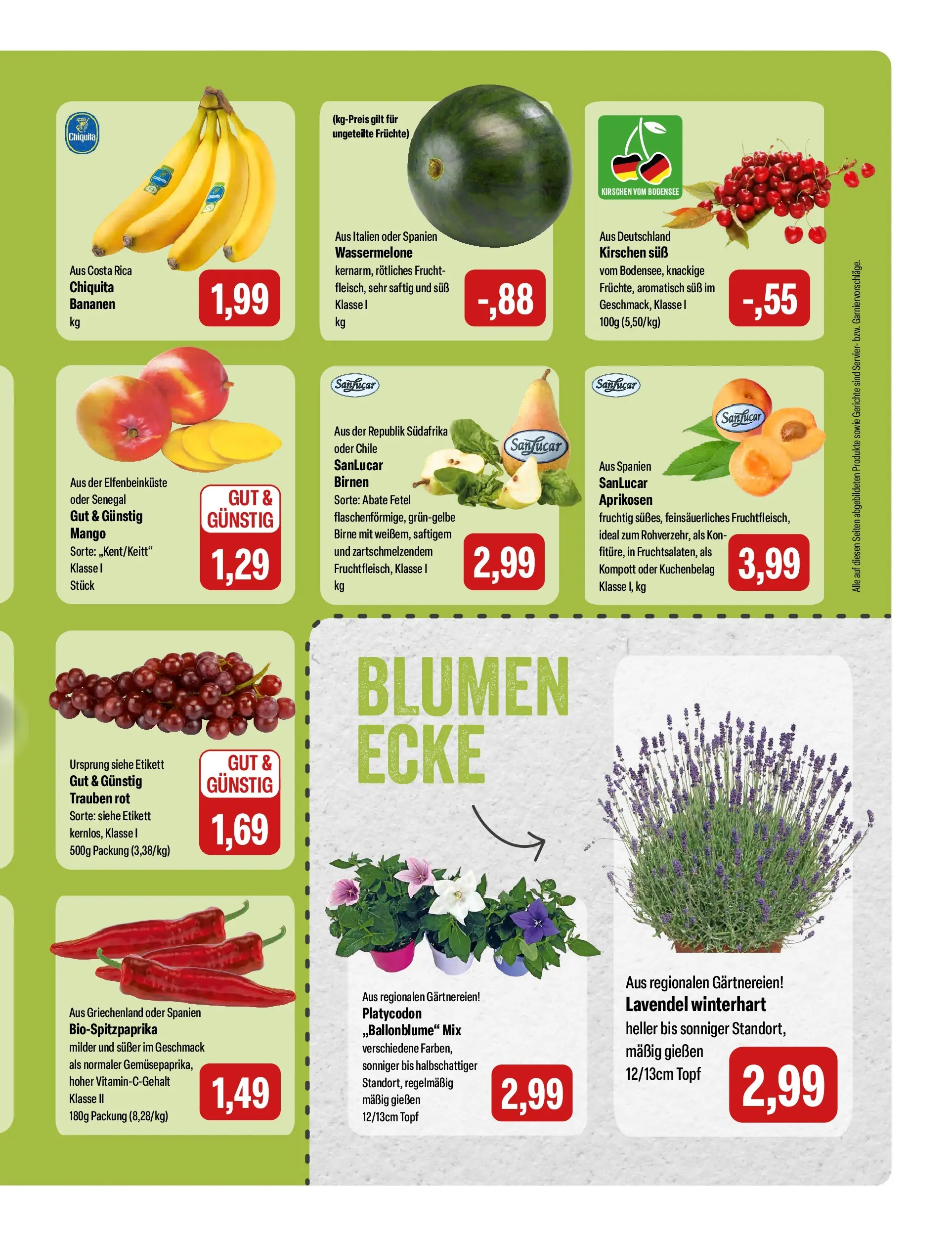 Feneberg Angebote (ab 08.07.2026) zum Blättern | Seite: 9 | Produkte: Trauben, Bananen, Kirschen, Lavendel