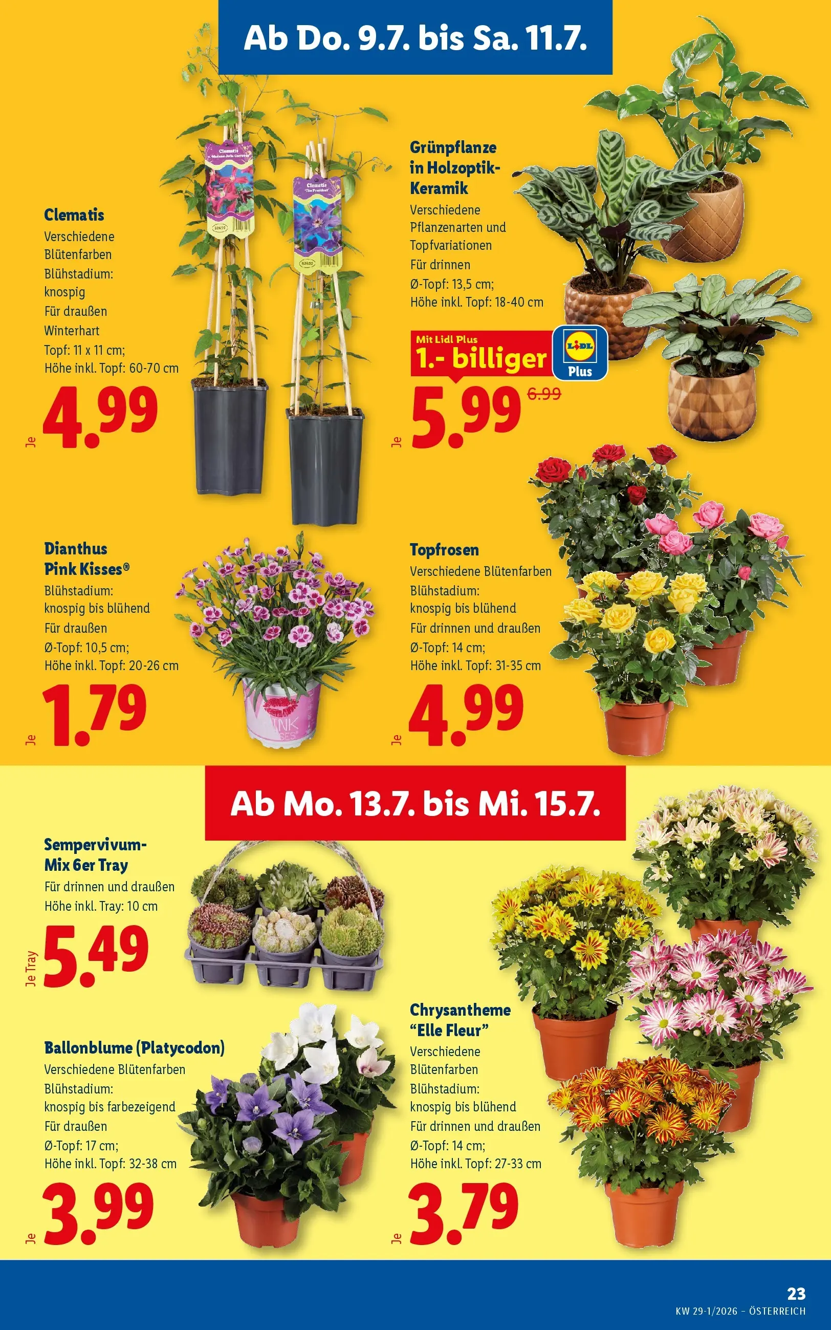 Lidl - Lidl ab 08.07.2026 - Angebote ab donnerstag | Seite: 27