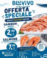 BluVivo Offerte speciale - al 02.07.2026