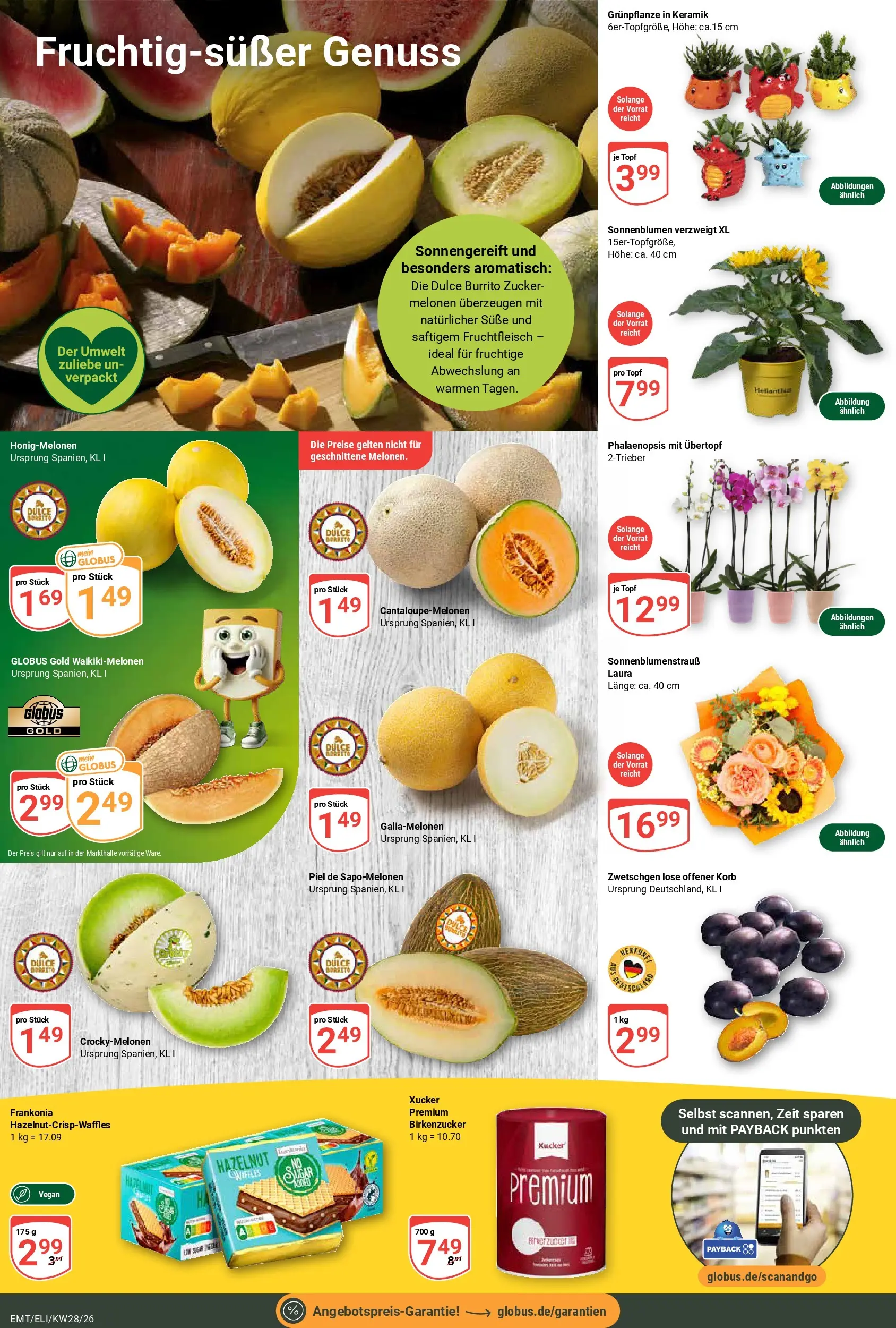 Globus Prospekt Mittelhausen (ab 06.07.2026) » Angebote online | Seite: 8 | Produkte: Korb, Zwetschgen, Zucker