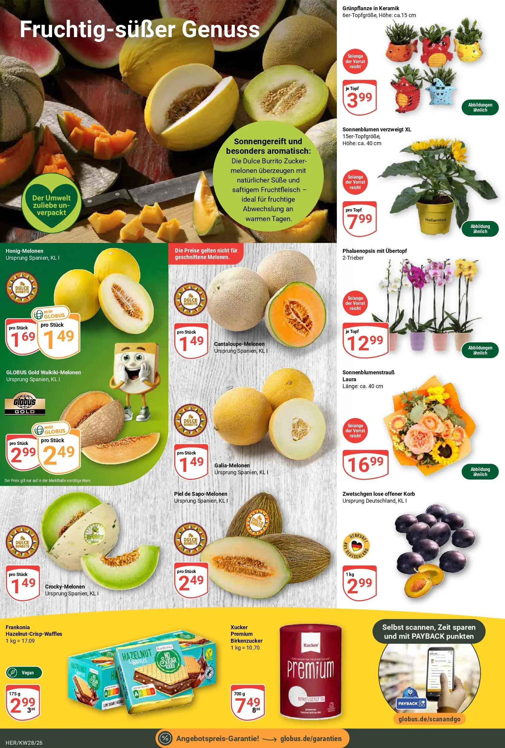 Globus Prospekt Hermsdorf (ab 06.07.2026) » Angebote online | Seite: 8 | Produkte: Korb, Zwetschgen, Zucker