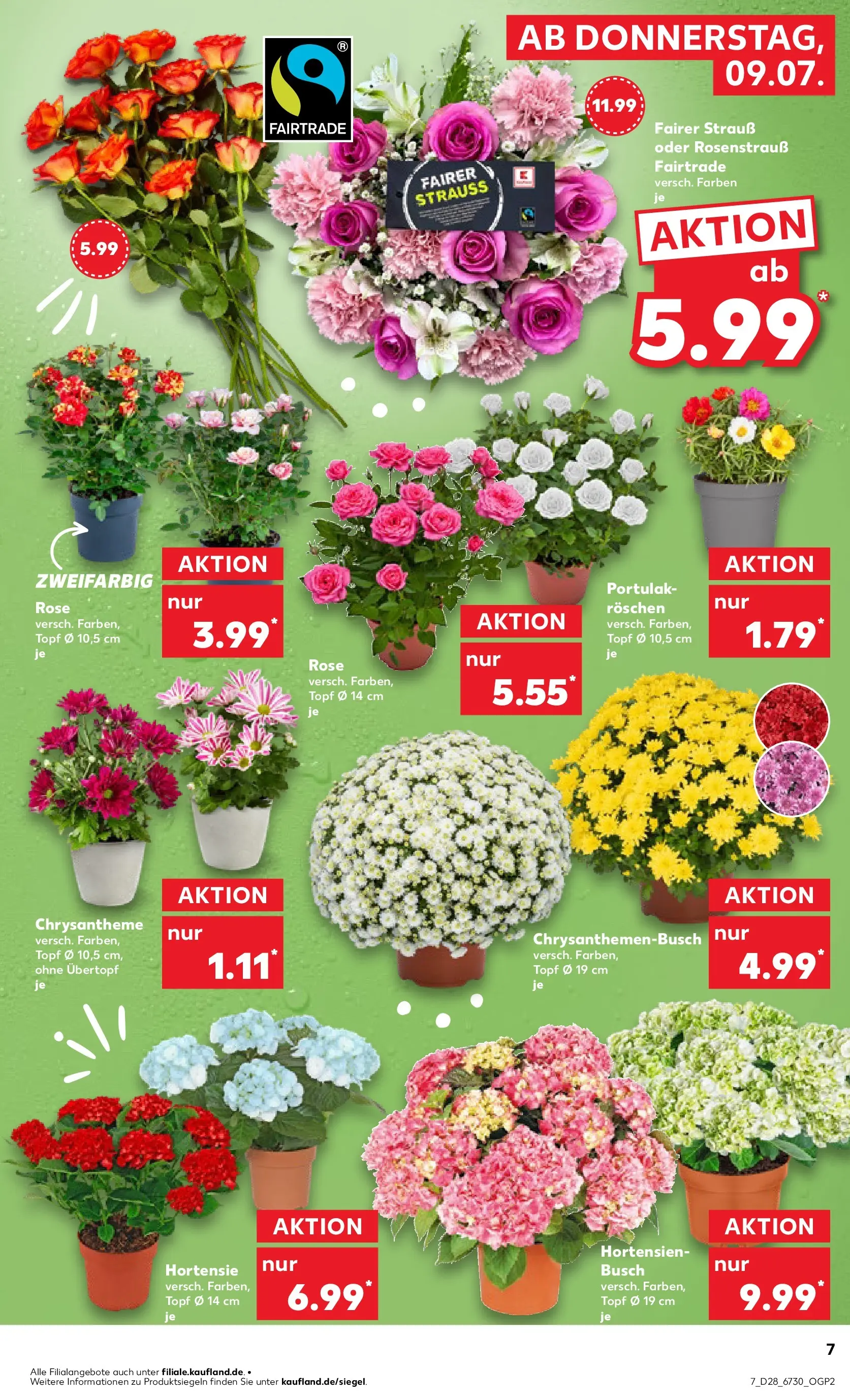Prospekt Kaufland ab 06.07.2026 ยป Angebote und Werbung Online | Seite: 16 | Produkte: Hortensie Prospekt Kaufland ab 06.07.2026 ยป Angebote Online zum Blรคttern | Seite: 16 | Produkte: Hortensie