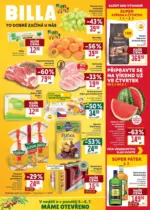 Billa Billa Velk&yacute; let&aacute;k &ndash; do 07.07.2026