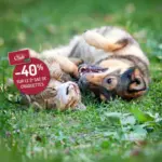 Botanic Croquettes pour chien et chat - au 12.07.2026