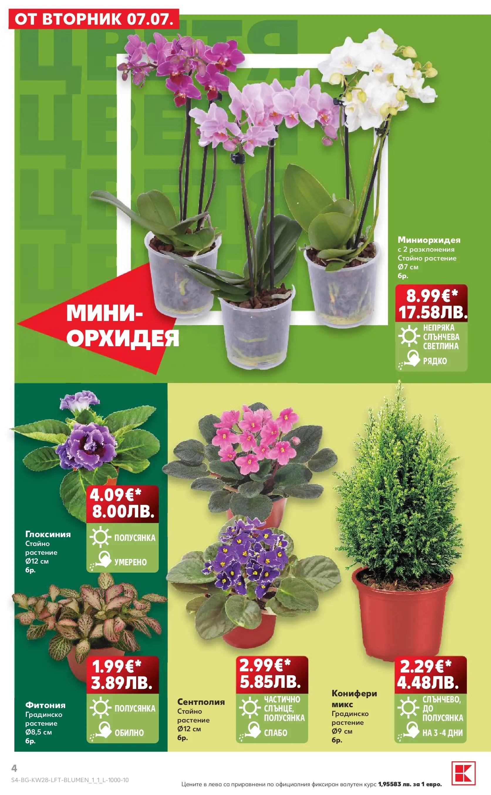 Нова Кауфланд брошура - Топ оферти в Kaufland с валидност до 12.07.2026 от 05.07.2026 | Страница: 4 | Продукти: Орхидея
