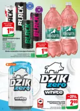 Dino 27 26 www small 1