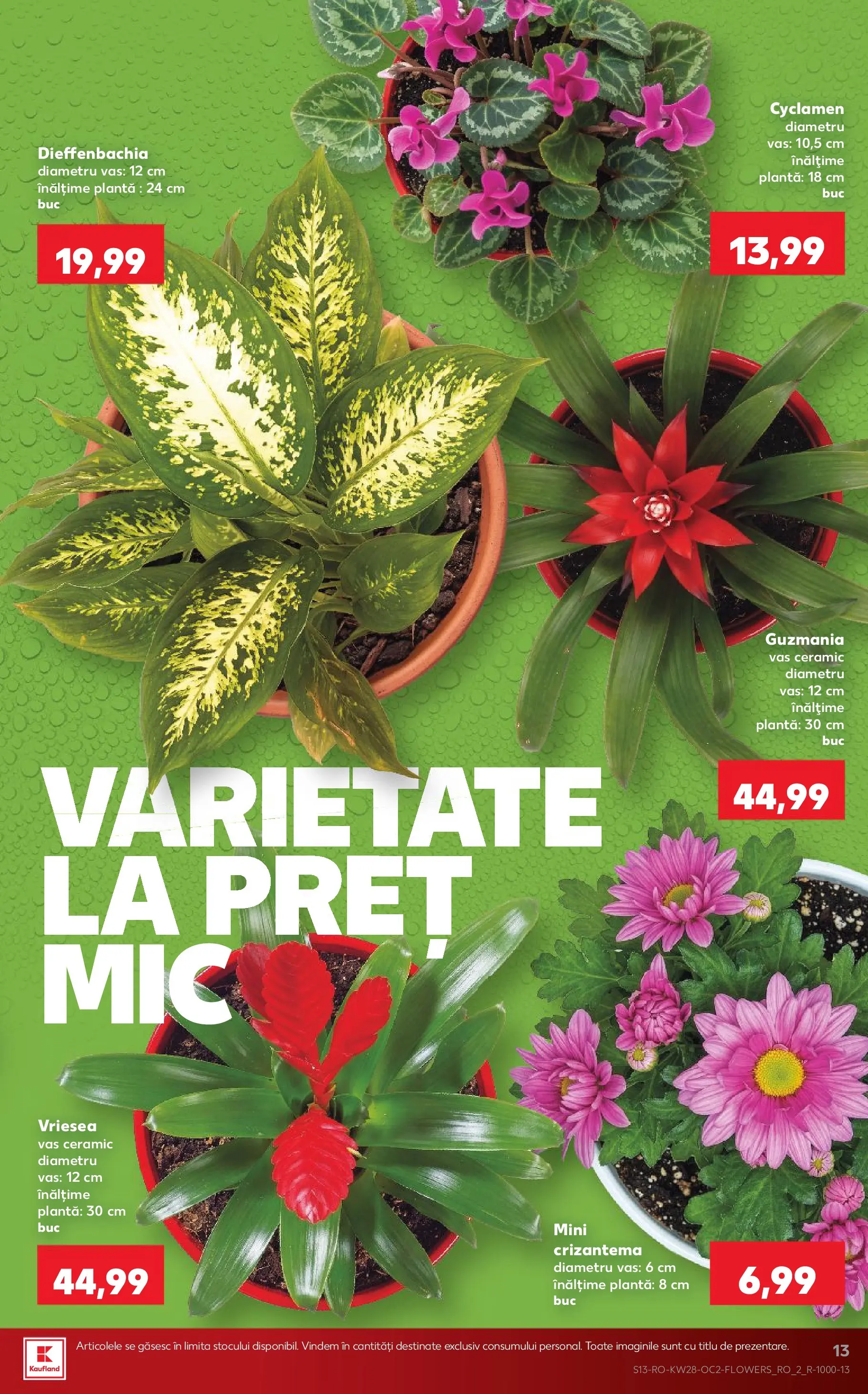 Kaufland Slatina 08.07.2026 - Revista si Oferta | Pagină: 13