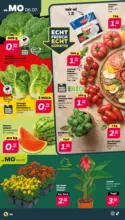 Netto APS : Wochenangebote