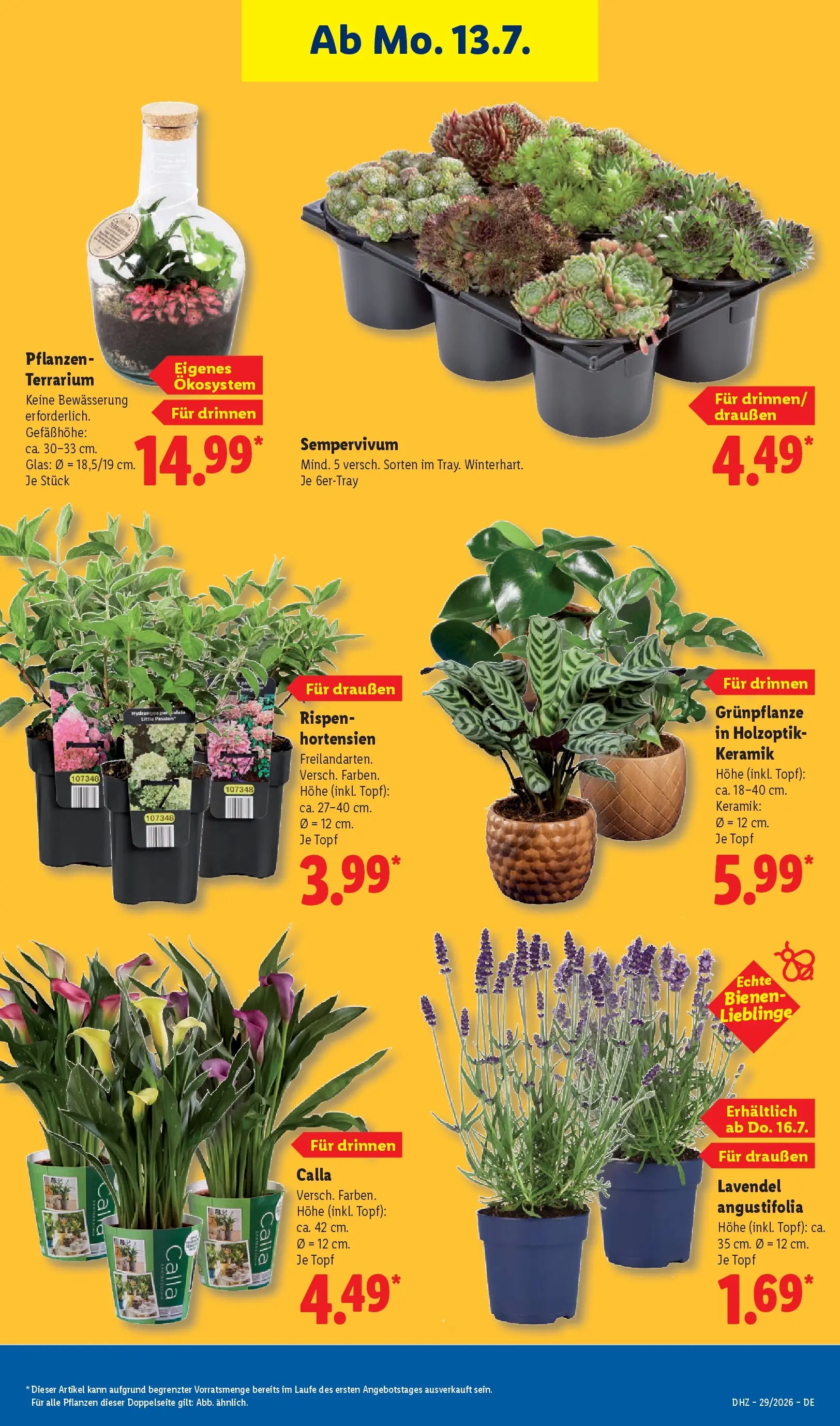 Lidl Prospekt Künzell (ab 12.07.2026) » Angebote online | Seite: 27 | Produkte: Lavendel Lidl Prospekt Künzell (ab 12.07.2026) zum Blättern » Angebote | Seite: 27 | Produkte: Lavendel