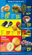 Lidl Lidl: Wochenangebote - bis 11.07.2026