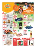 Globus 28 26 L1