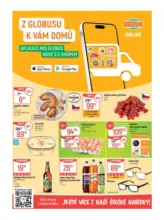 Globus 28 26 L1