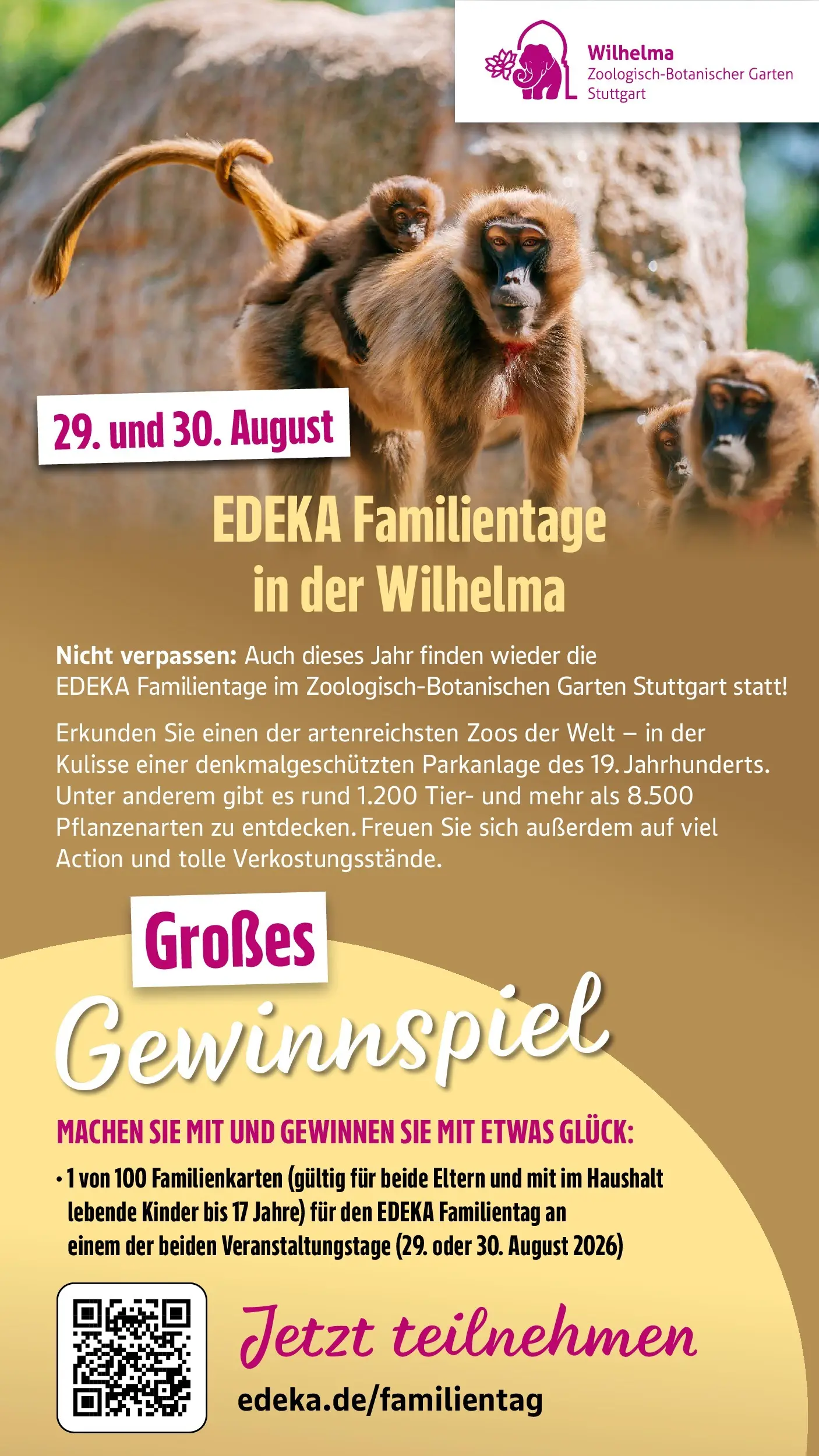 Edeka - EDEKA: Wochenangebote (ab 05.07.2026) » Angebote Online | Seite: 43