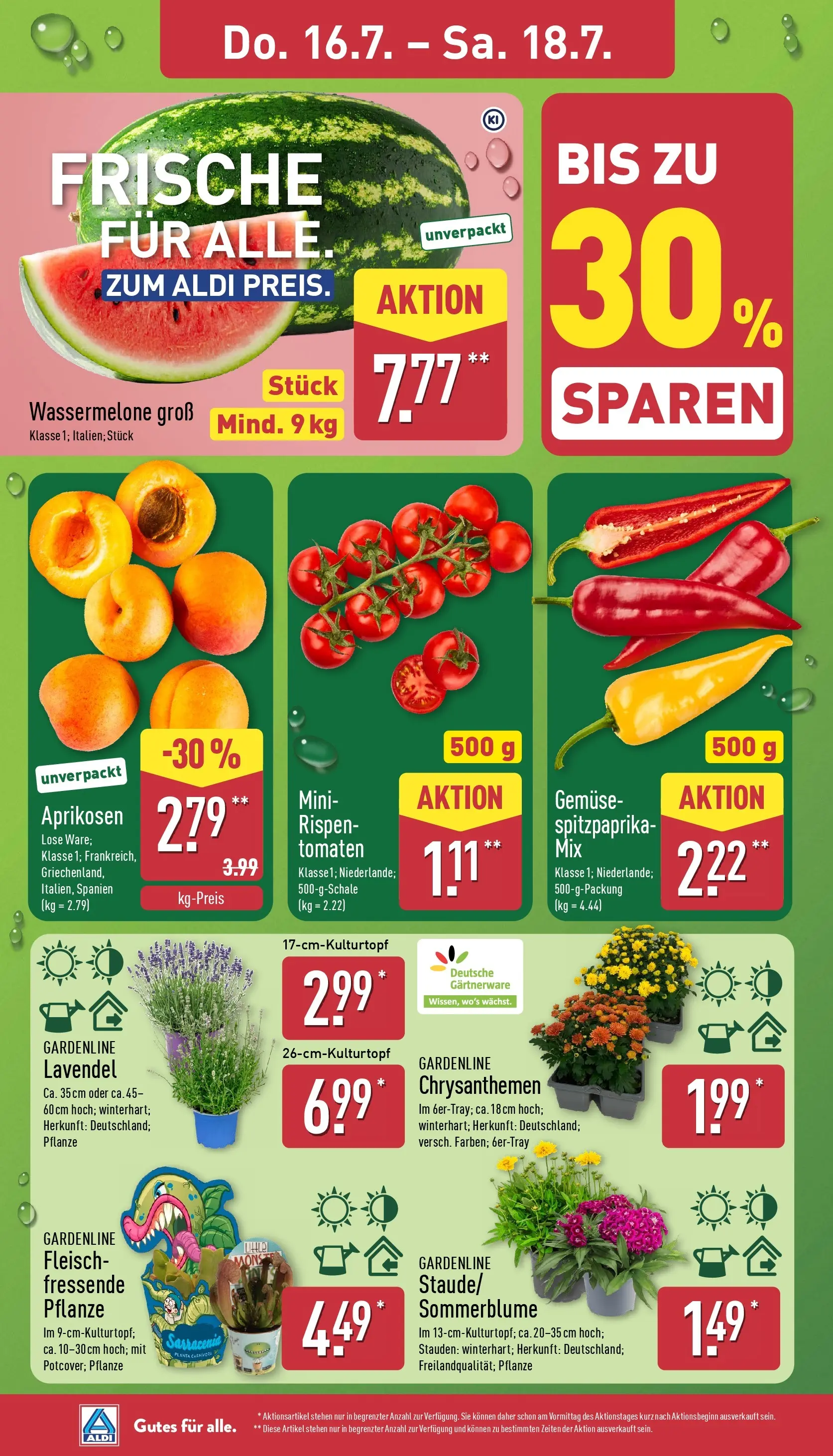 Aldi - ALDI Nord: Wochenangebote (ab 12.07.2026) » Angebote Online | Seite: 26 | Produkte: Tomaten, Wassermelone, Lavendel, Fleisch