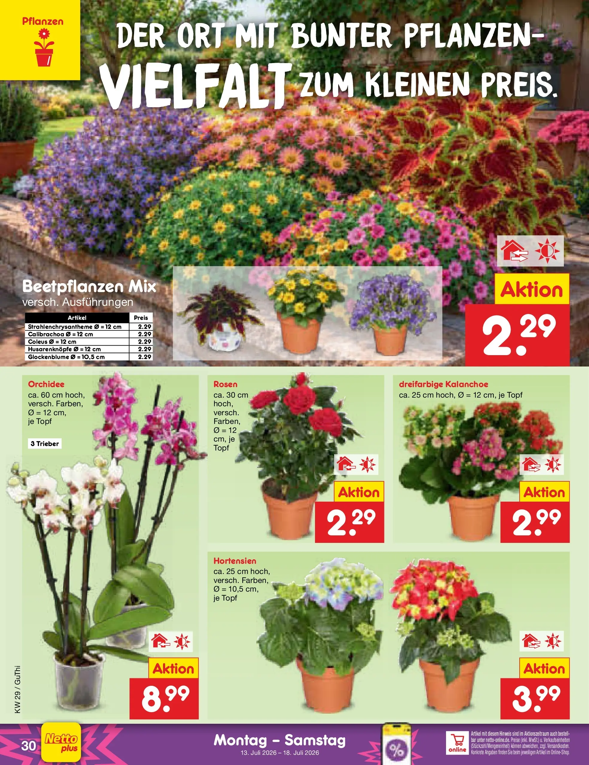 Netto Marken-Discount Prospekt Thiendorf (ab 13.07.2026) ยป Angebote | Seite: 40 | Produkte: Orchidee Netto Marken-Discount Prospekt Thiendorf (ab 13.07.2026) ยป Angebote | Seite: 40 | Produkte: Orchidee