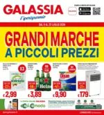 Galassia Grandi marche a piccoli prezzi - al 22.07.2026
