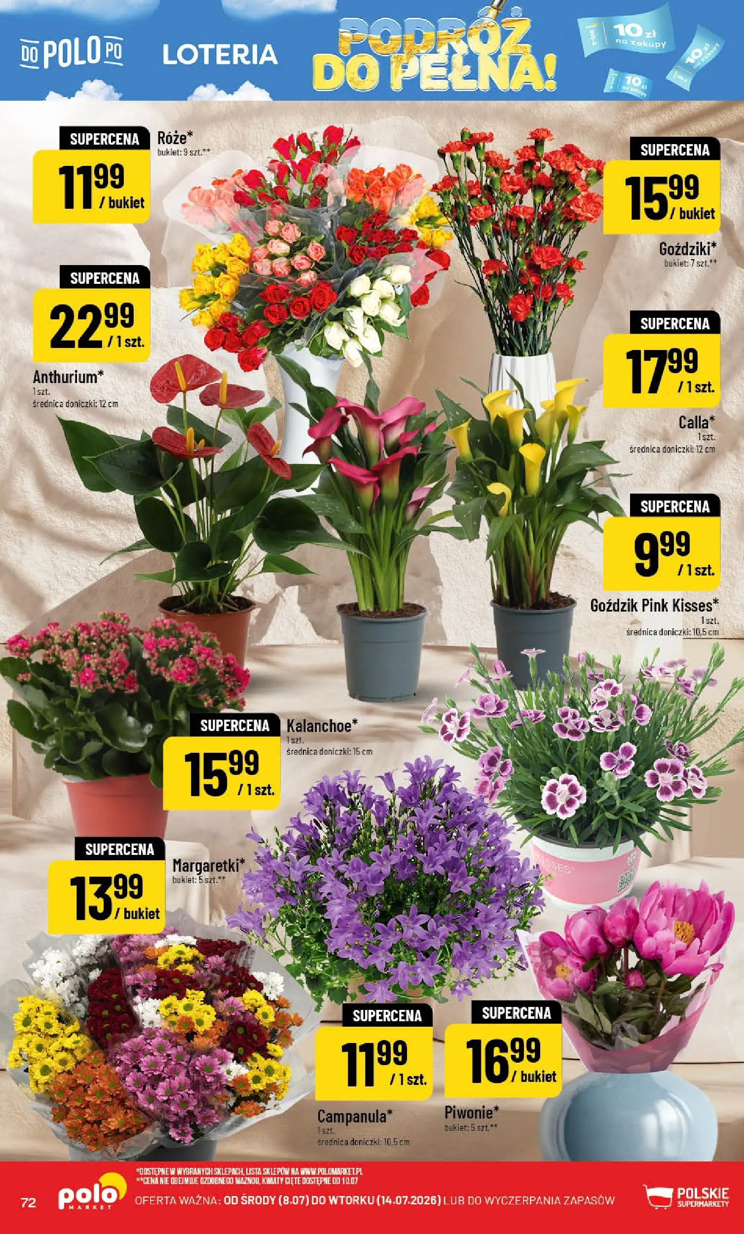 Nowa POLOmarket gazetka od jutra (08.07.2026) | Strona: 72 | Produkty: Goździk, Doniczki, Kwiaty Nowa POLOmarket gazetka od jutra 08.07.2026 | Strona: 72 | Produkty: Goździk, Doniczki, Kwiaty