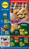 Catalog Lidl până în data de 19.07.2026