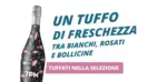 Giordano Vini Un tuffo di freschezza - al 31.07.2026