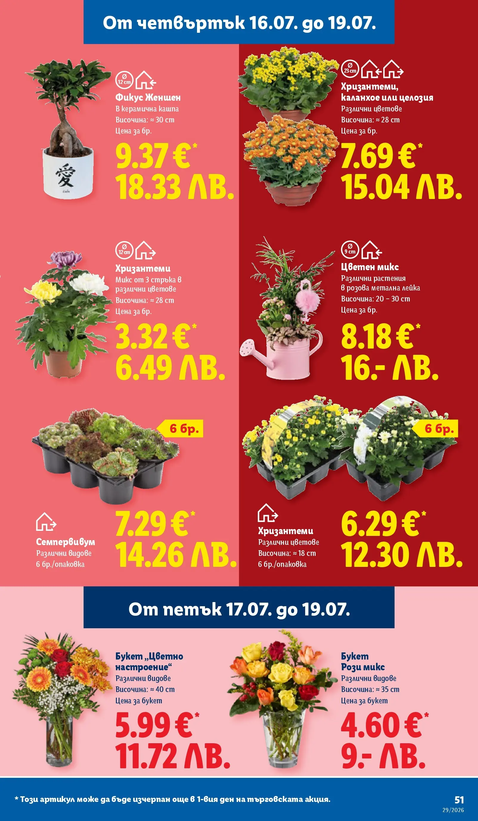 Лидл - Вкусни моменти край грила с ЛИДЛ предложения с валидност до 19.07.2026 от 12.07.2026 | Страница: 51 | Продукти: Кашпа, Лейка