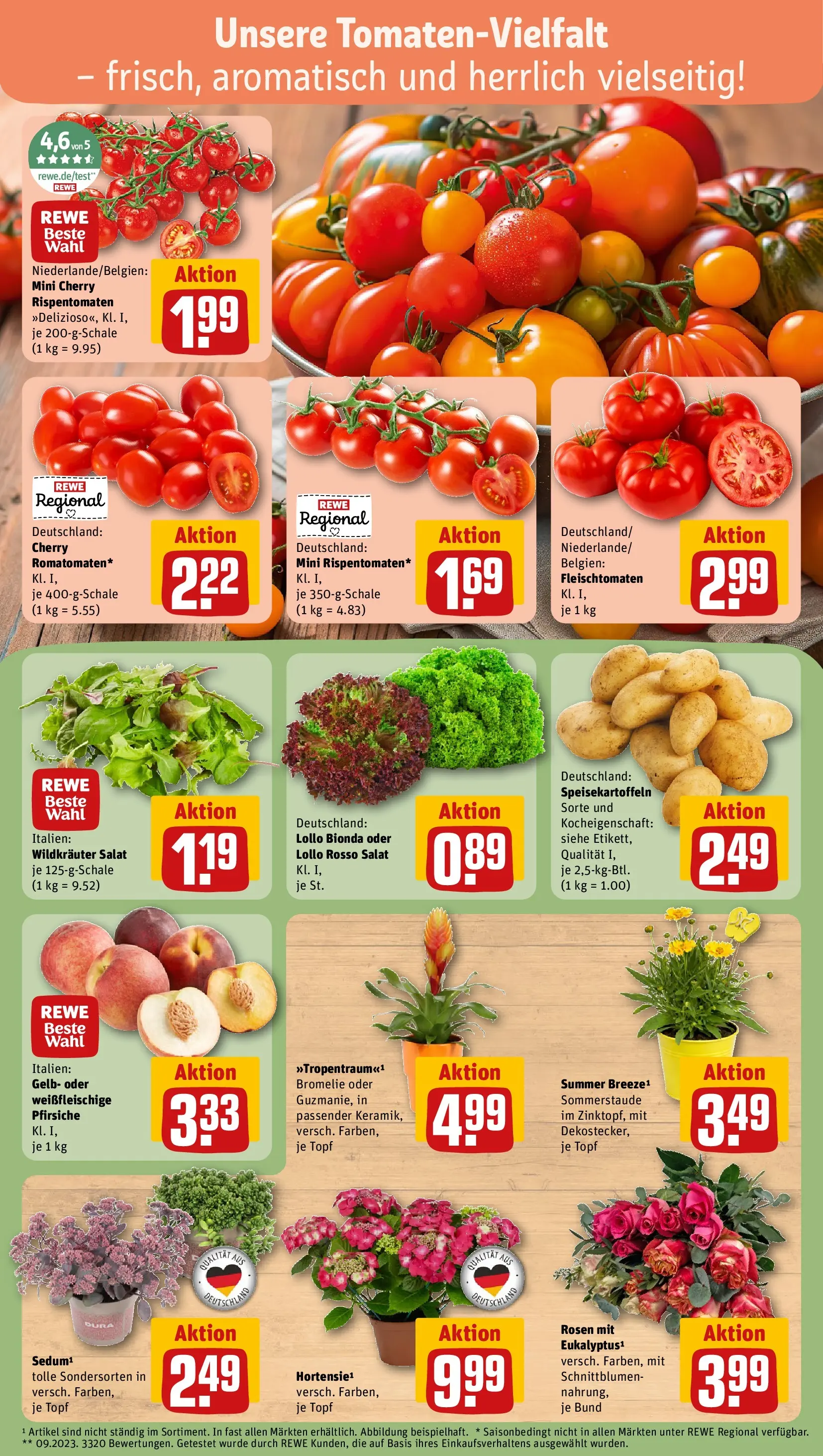 REWE Prospekt ab 13.07.2026 zum Blättern » Angebote | Seite: 7 | Produkte: Salat