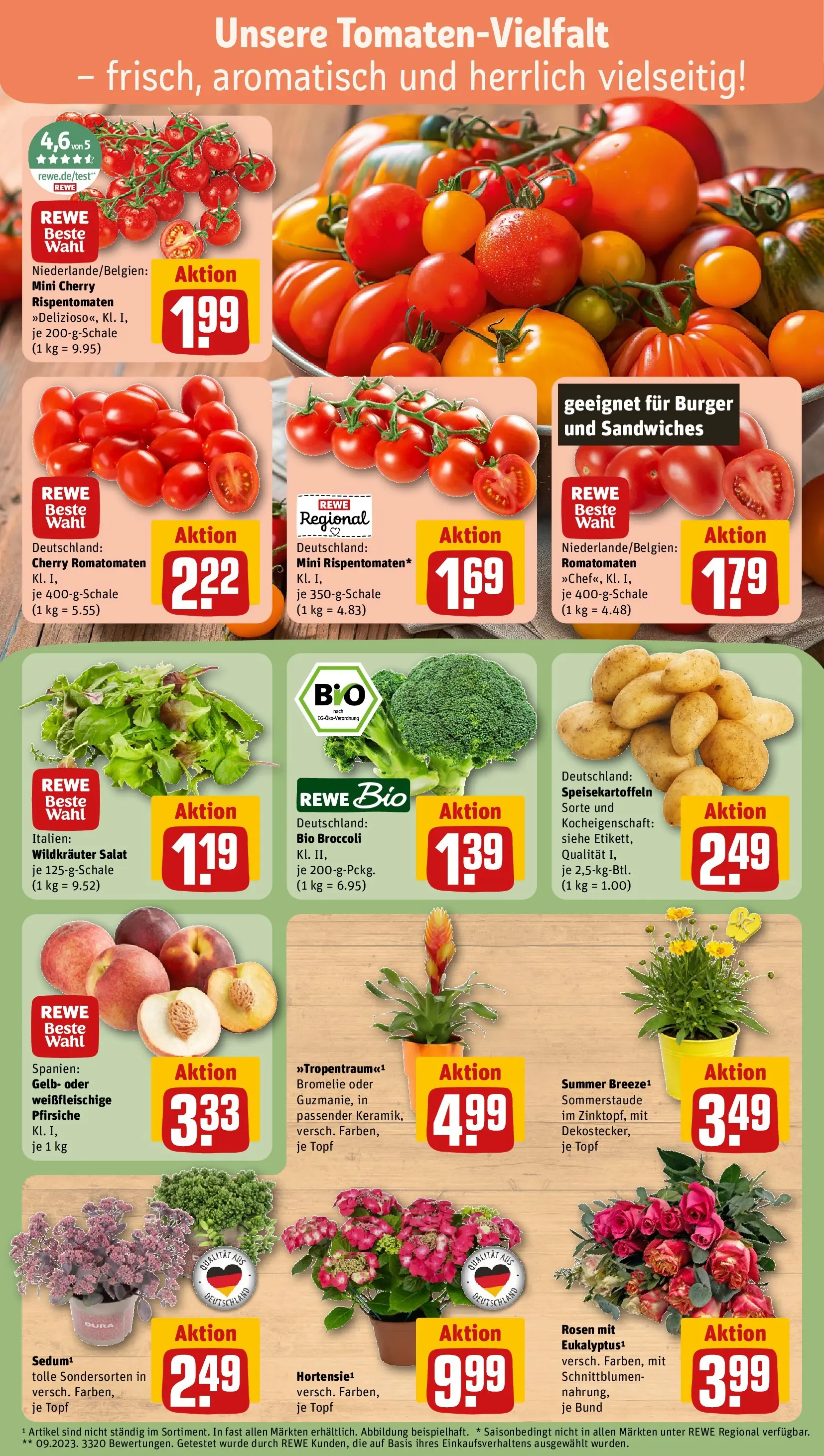 REWE Prospekt ab 12.07.2026 zum Blättern » Angebote | Seite: 7 | Produkte: Burger, Salat