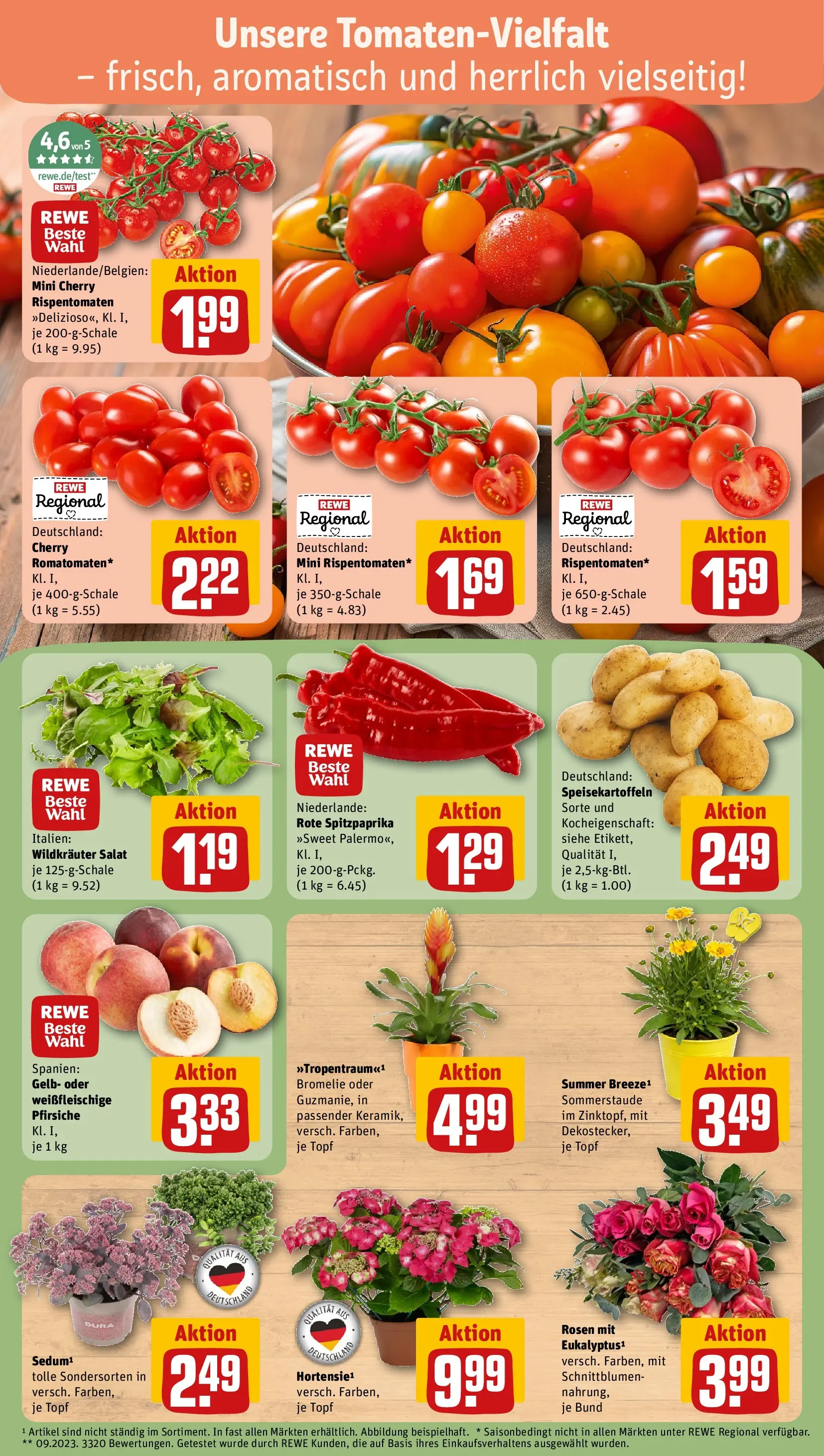 REWE Prospekt ab 13.07.2026 zum Blättern » Angebote | Seite: 7 | Produkte: Salat